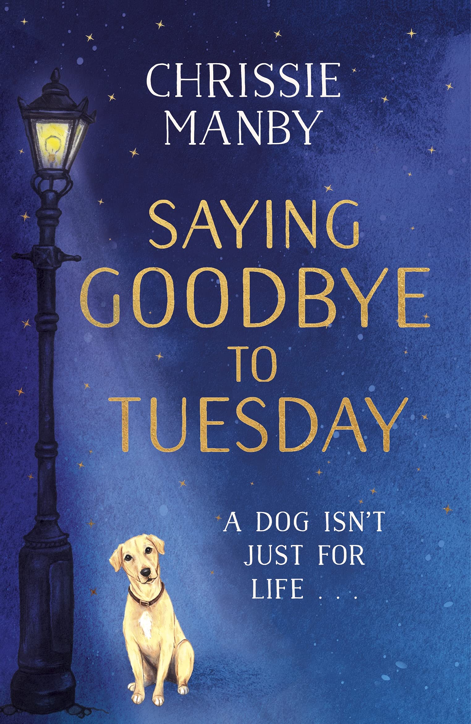 Saying Goodbye to Tuesday book cover