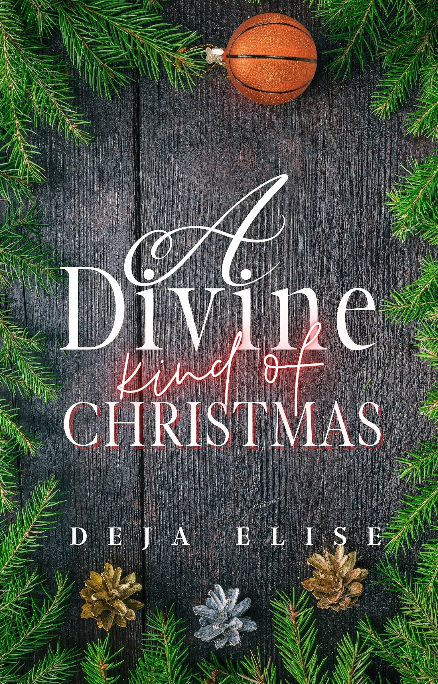 A Divine Kind of Christmas: A Bri and DeeDee Holiday