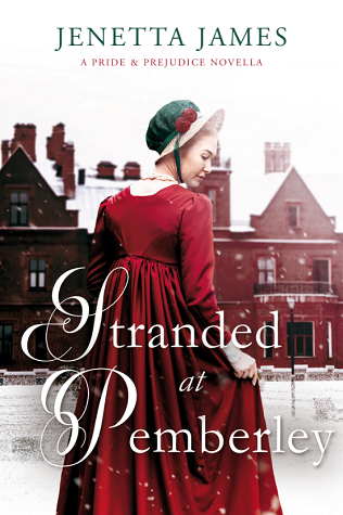 Stranded at Pemberley book cover