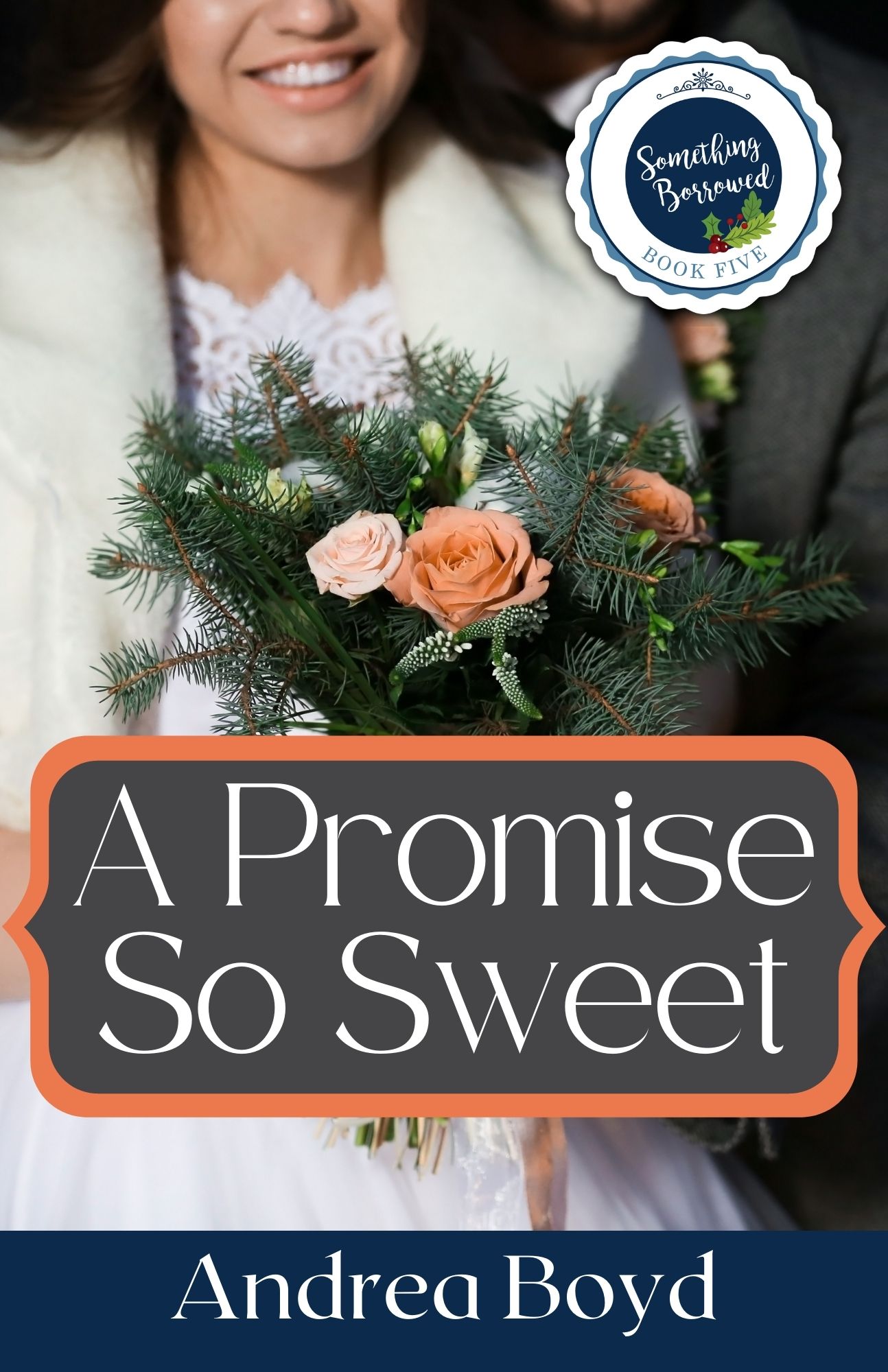 Something Borrowed Collection book cover 1