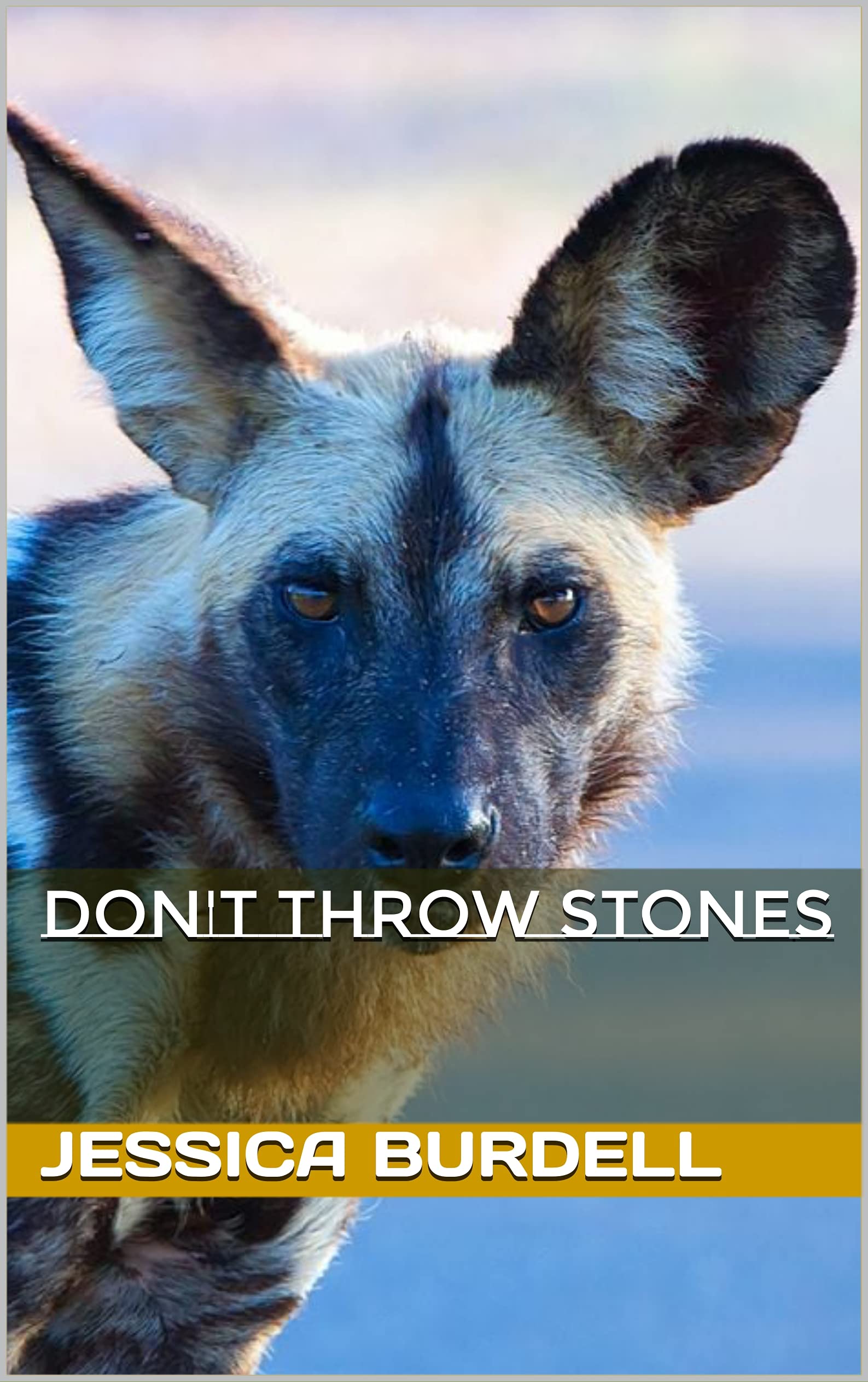 Don't Throw Stones (CMe Book 4) by Jessica Burdell Goodreads