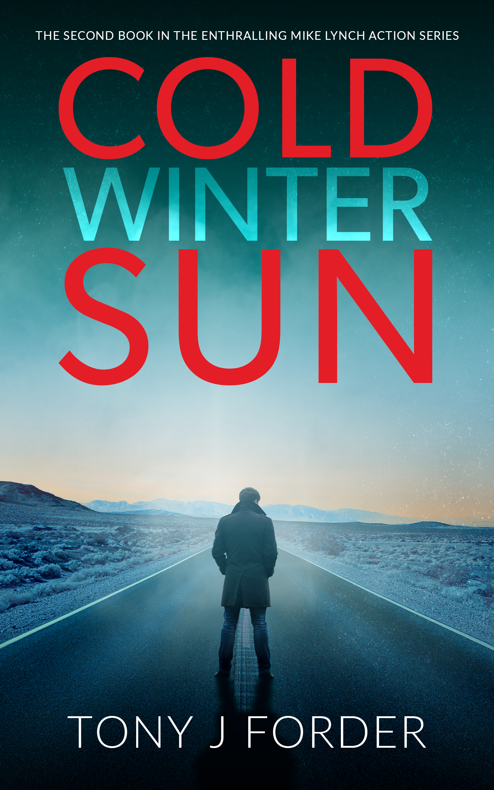 Cold Winter Sun book cover