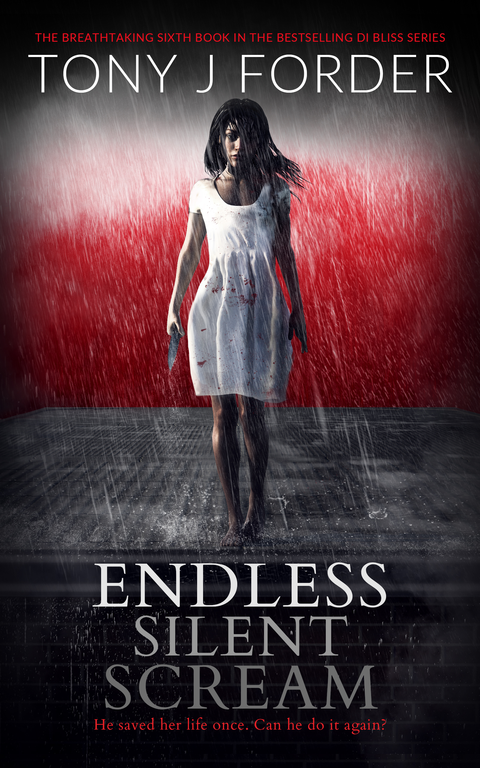 Endless Silent Scream book cover