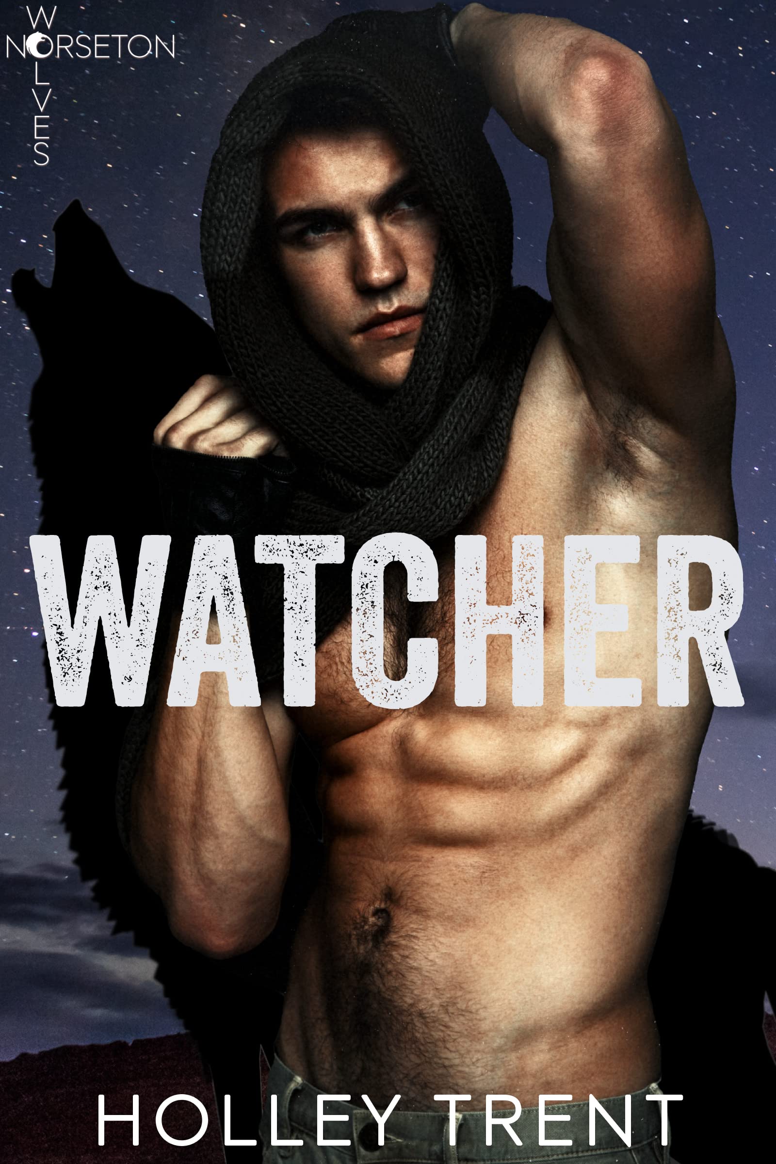 Watcher book cover