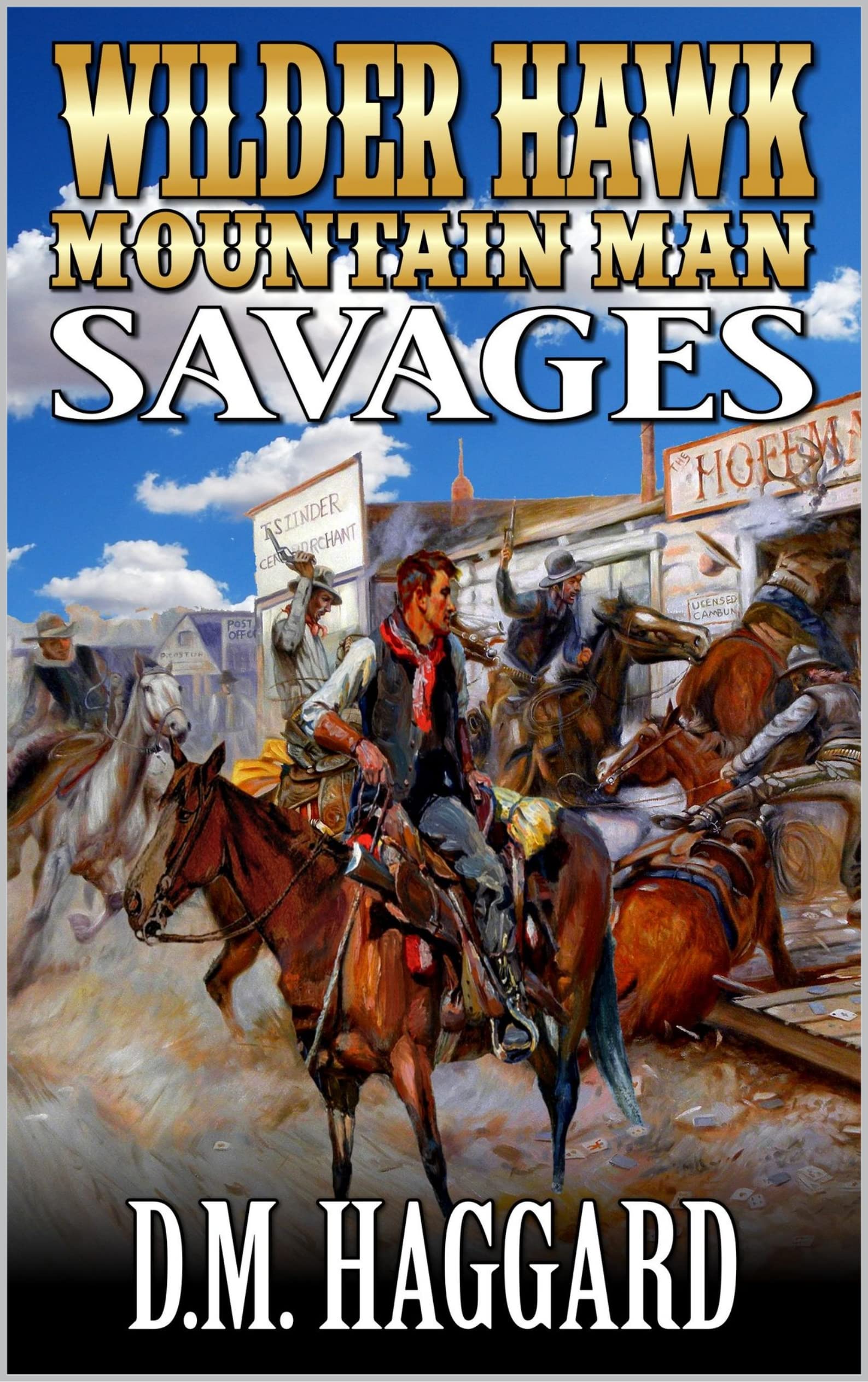 Wilder Hawk book cover