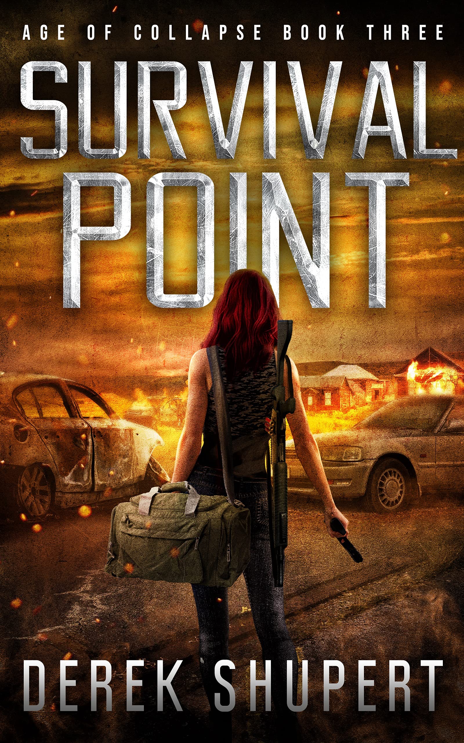 Survival Point book cover