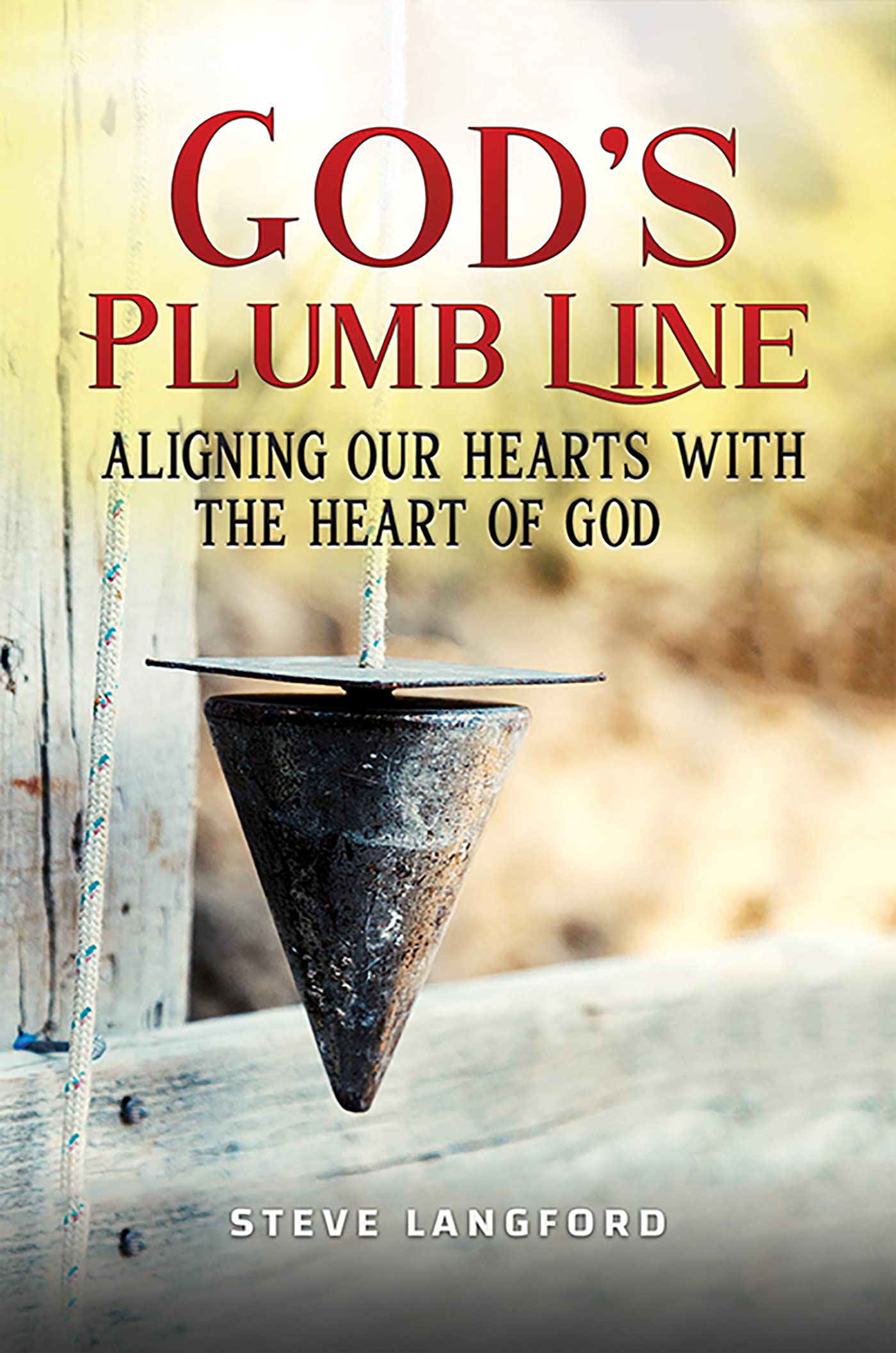 God's Plumb Line Aligning Our Hearts with the Heart of God by Steve