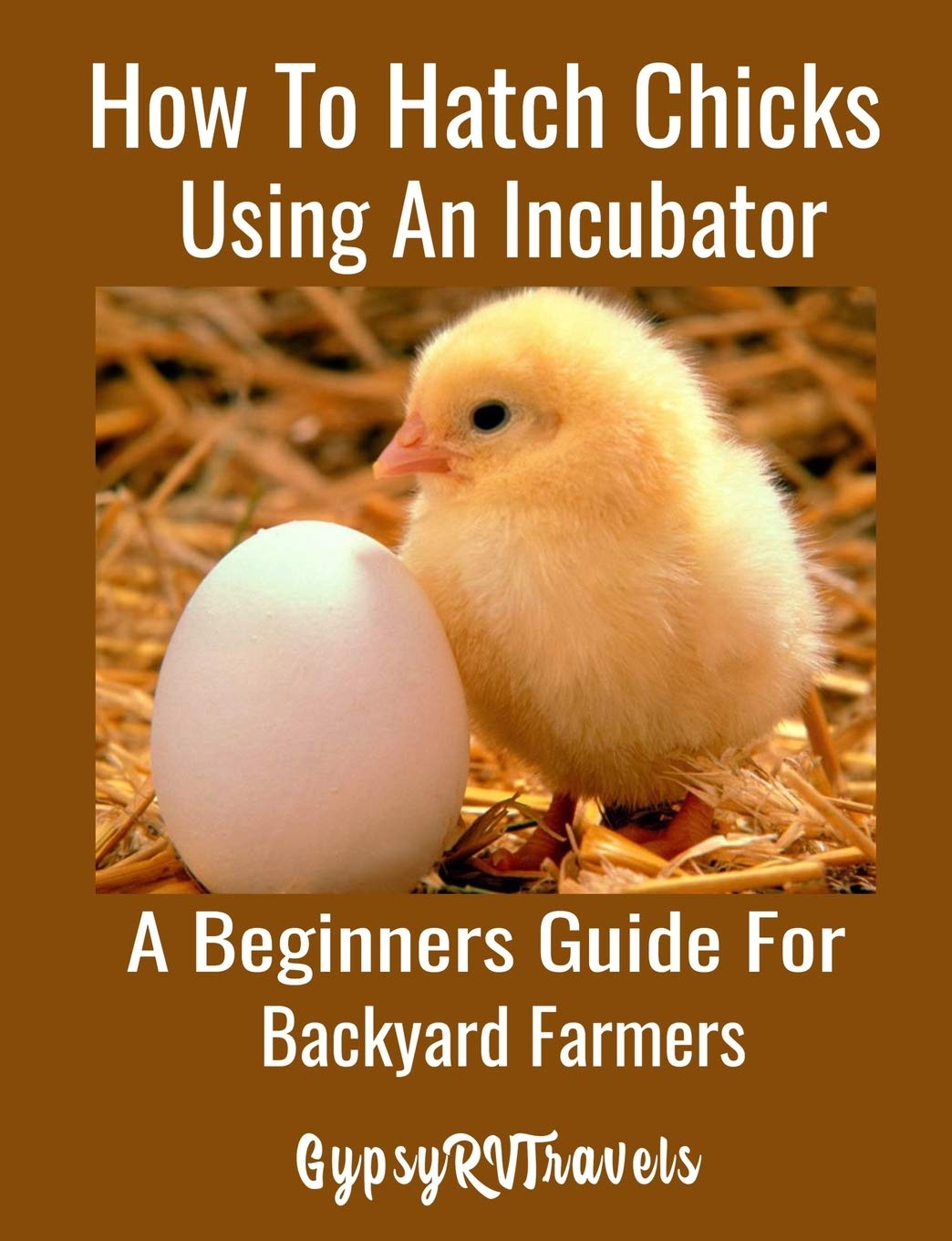 How To Hatch Chicks Using An Incubator A Beginners Guide For Backyard