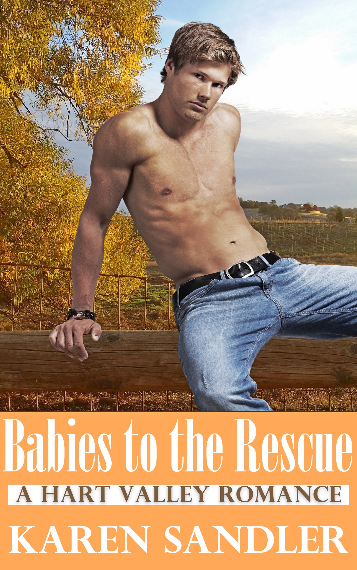 Babies to the Rescue book cover
