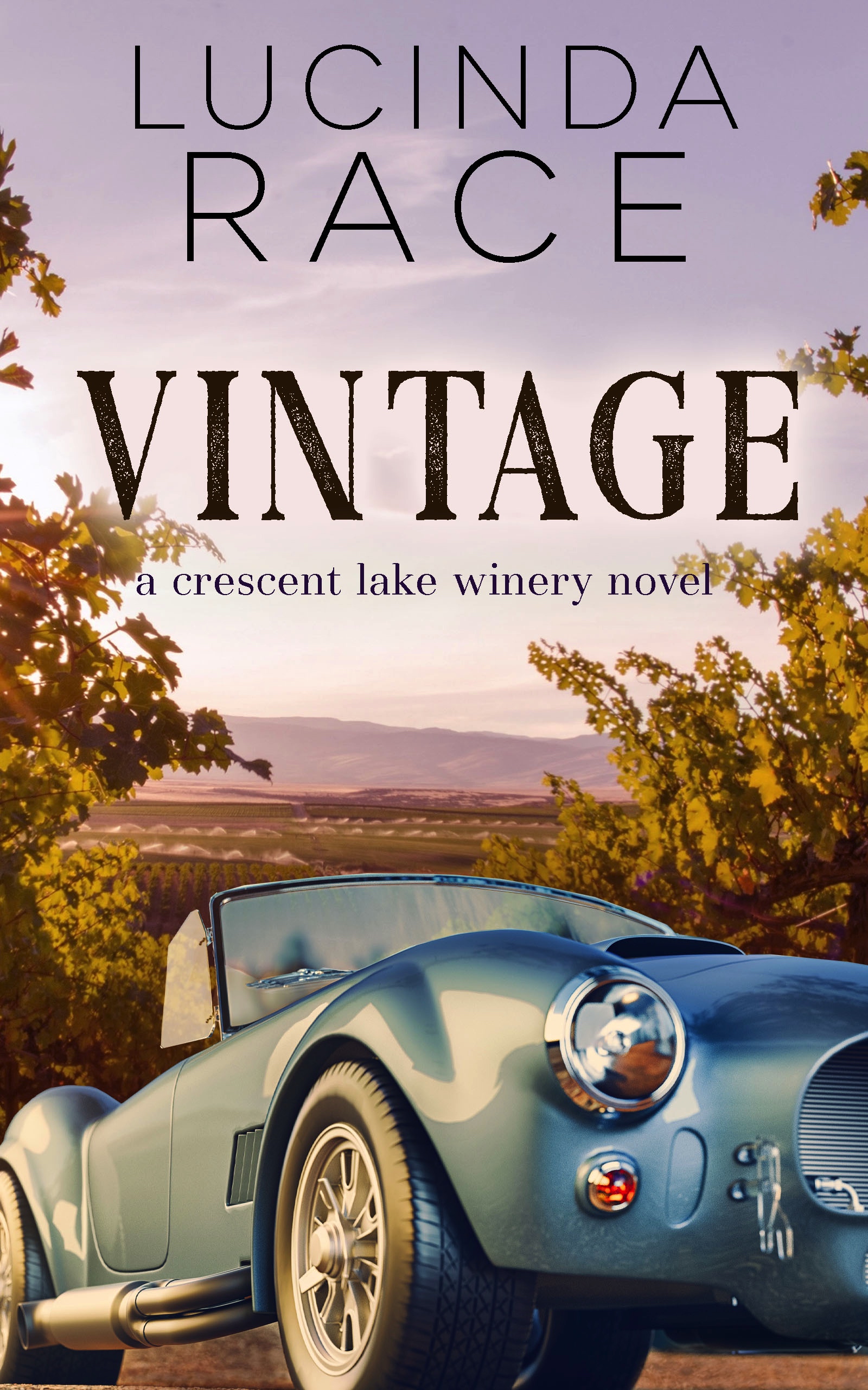 Vintage book cover