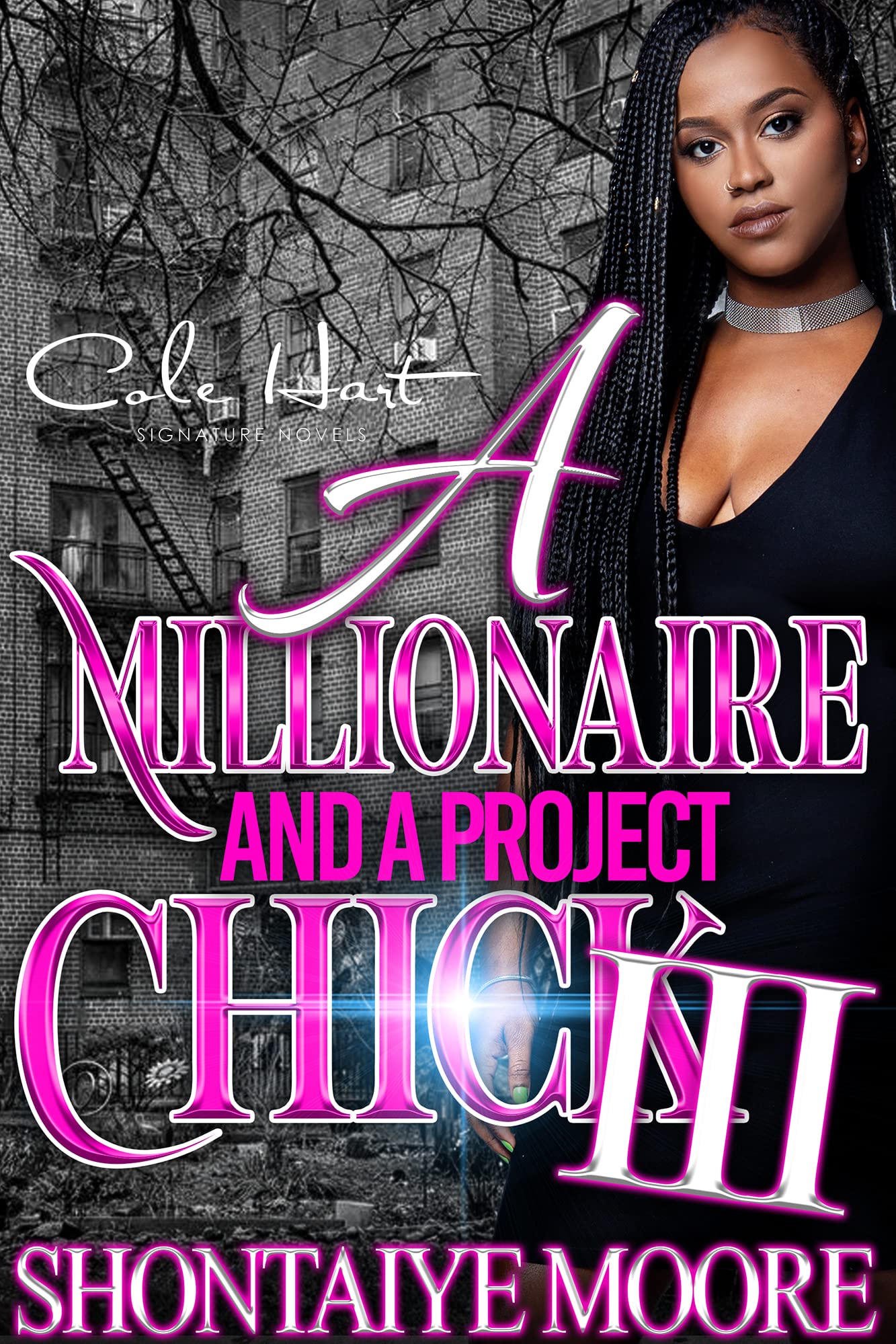 A Millionaire And A Project Chick 3 book cover