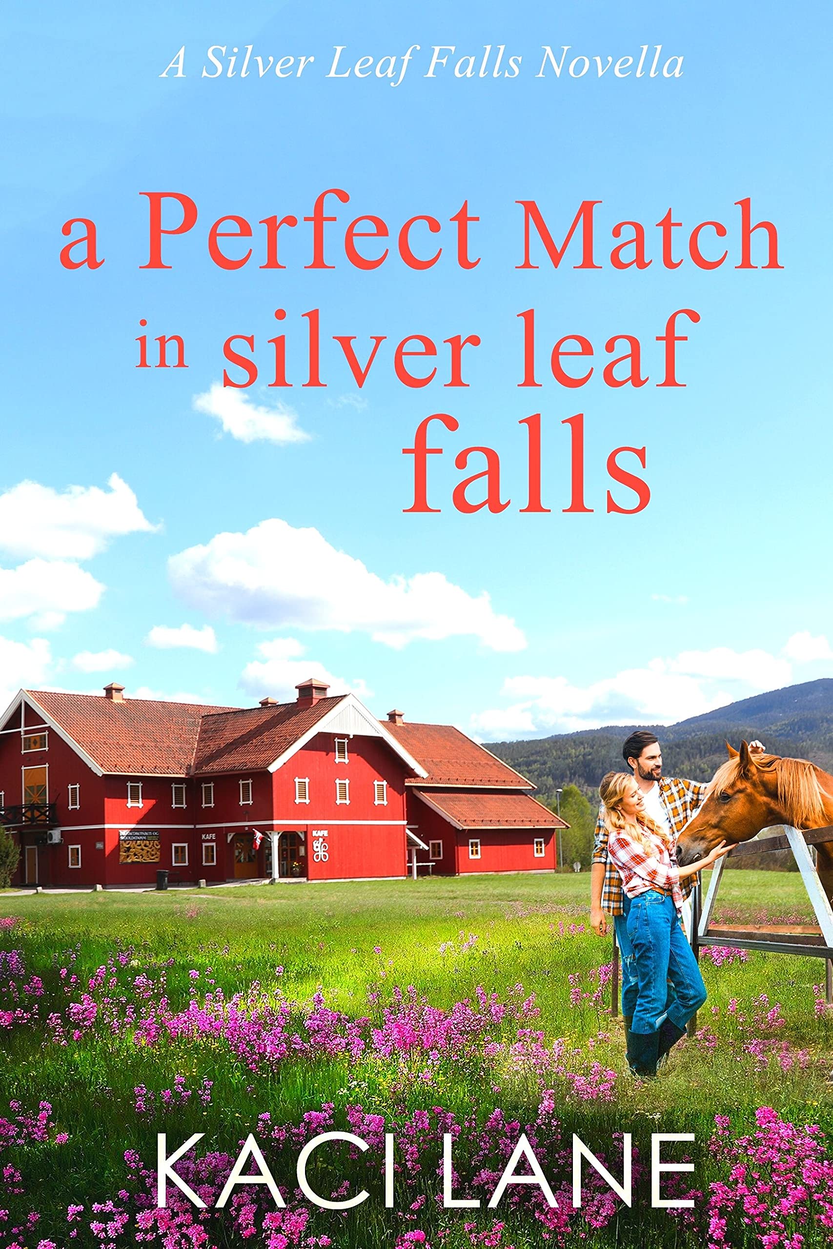 A Perfect Match in Silver Leaf Falls book cover