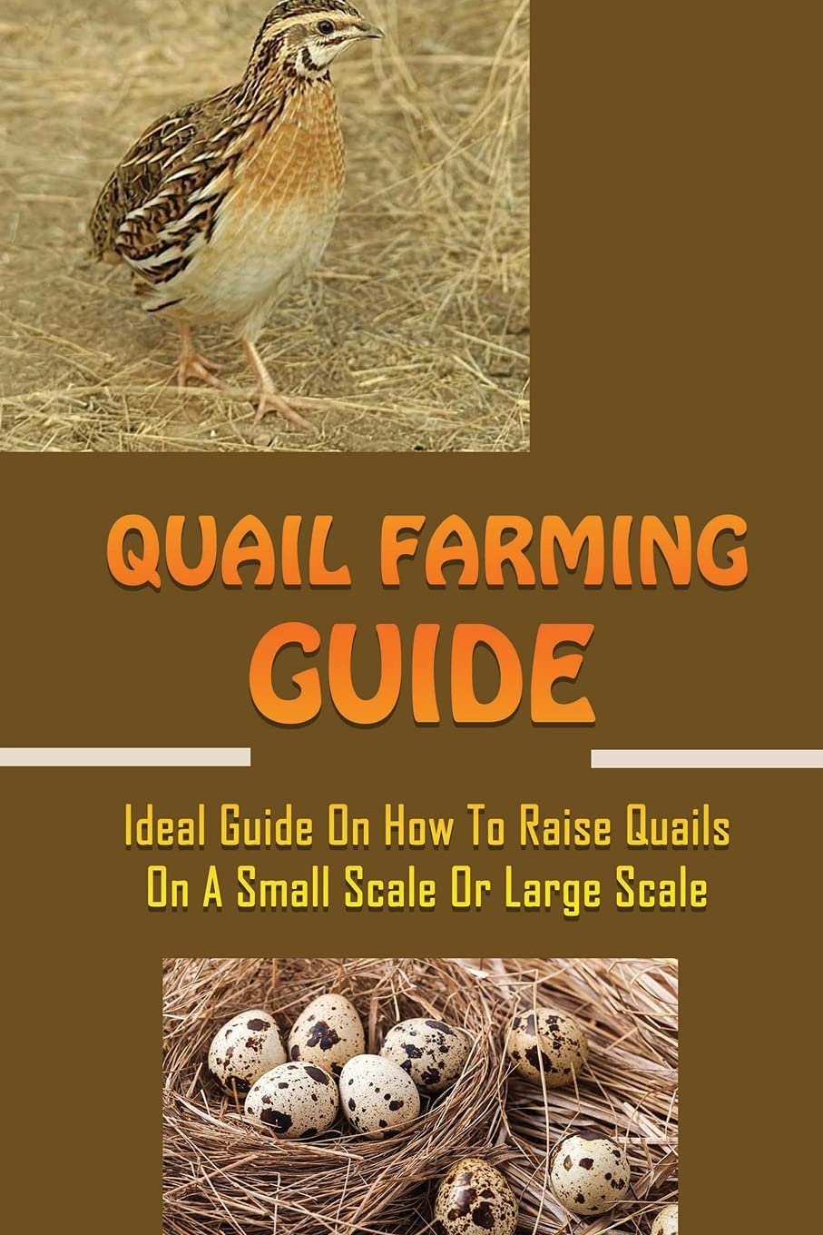 Quail Farming Guide Ideal Guide On How To Raise Quails On A Small