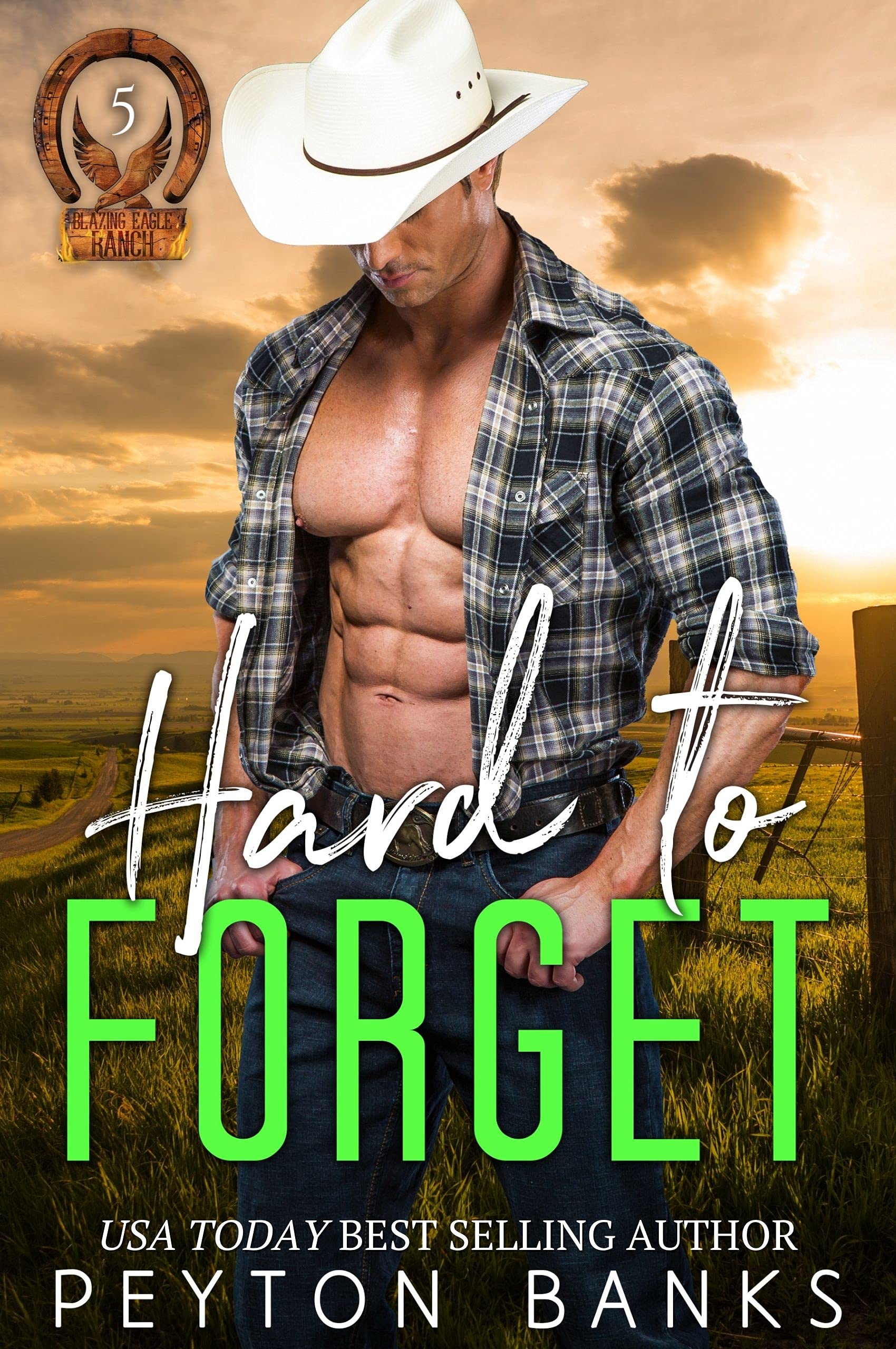 Hard to Forget book cover