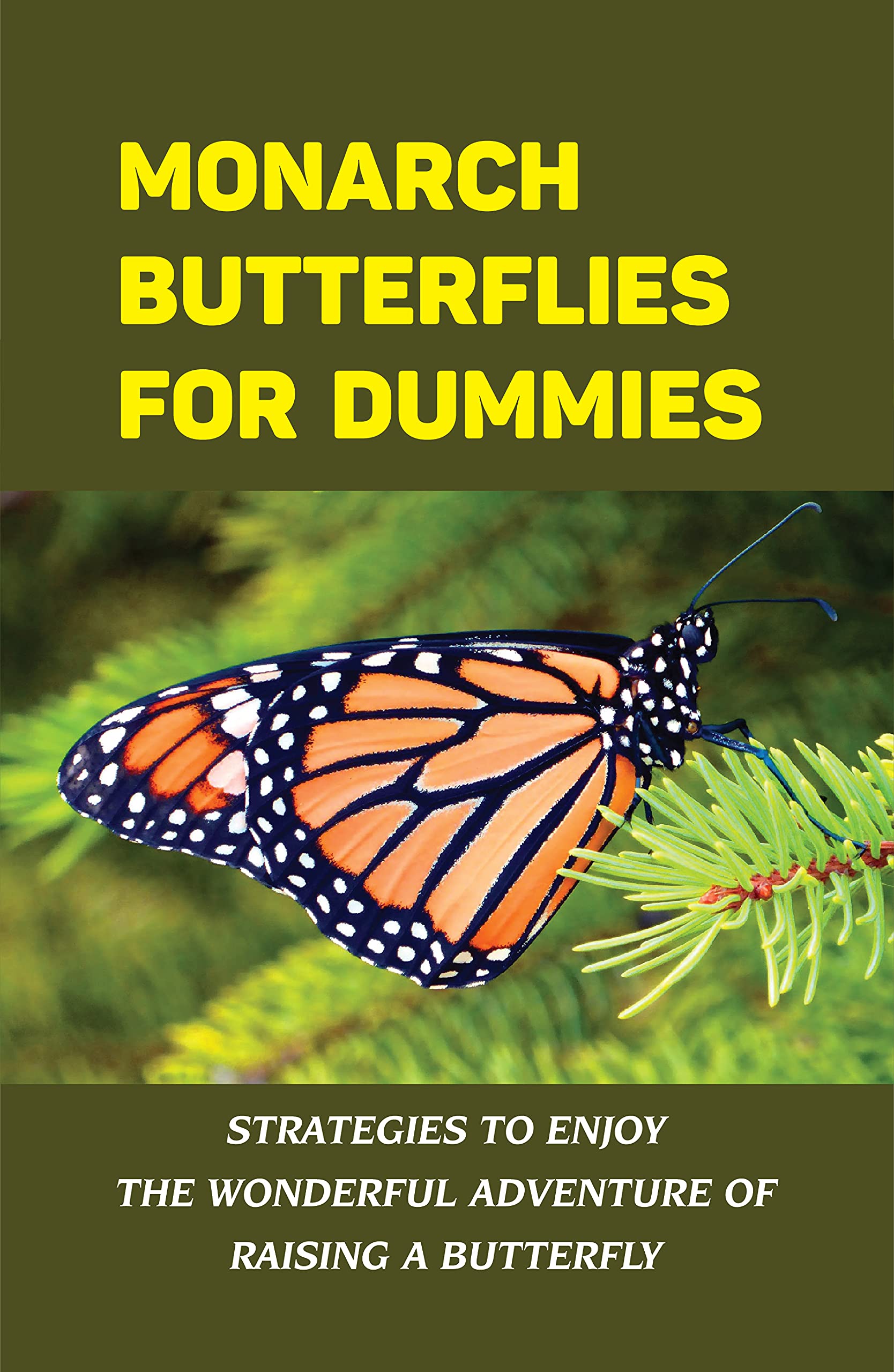 Monarch Butterflies For Dummies Strategies To Enjoy The Wonderful