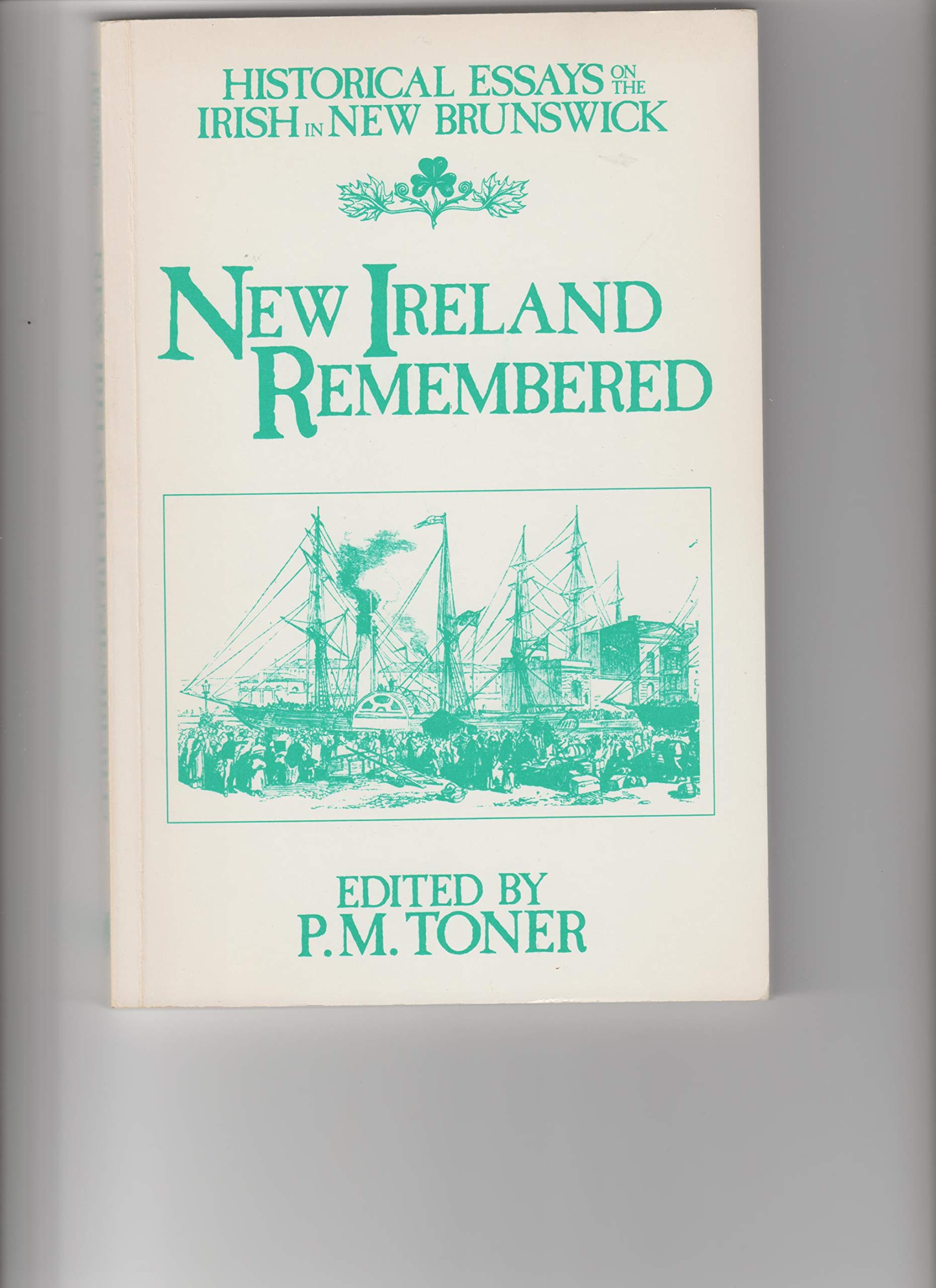 New Ireland remembered Historical essays on the Irish in New Brunswick