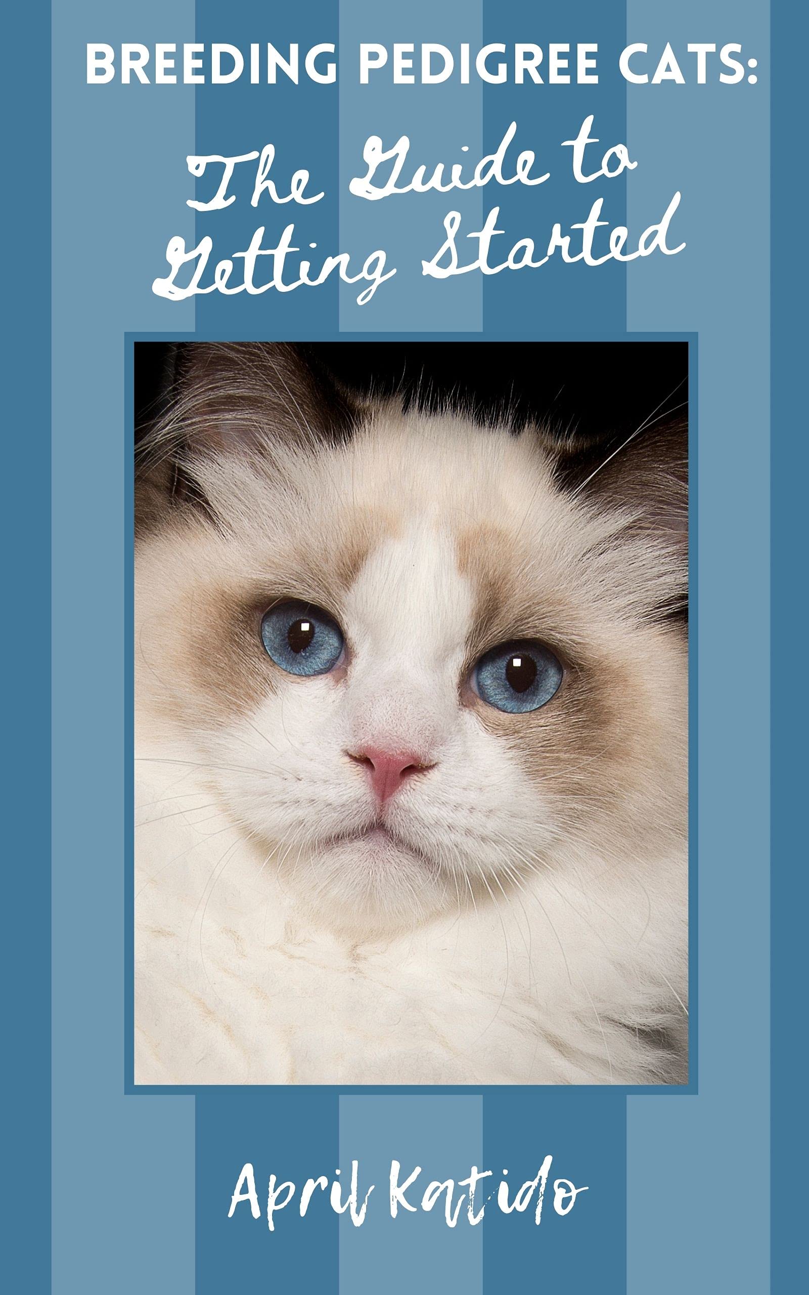 Breeding Pedigree Cats The Guide to Getting Started How to Start