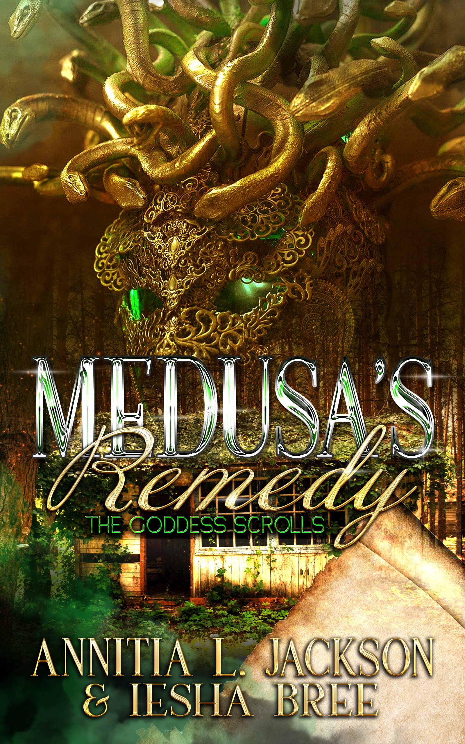 Medusa's Remedy book cover