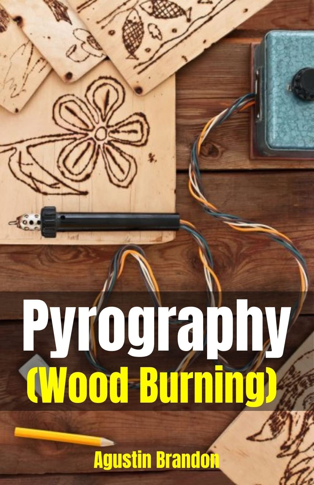 Pyrography (Wood Burning) : Step-by-Step Projects and Original Patterns ...