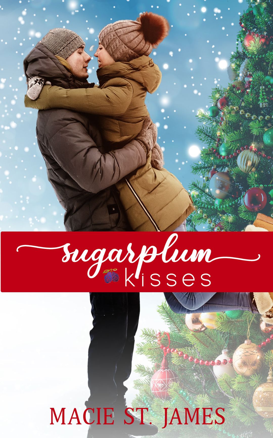 Reindeer Ridge book cover 2