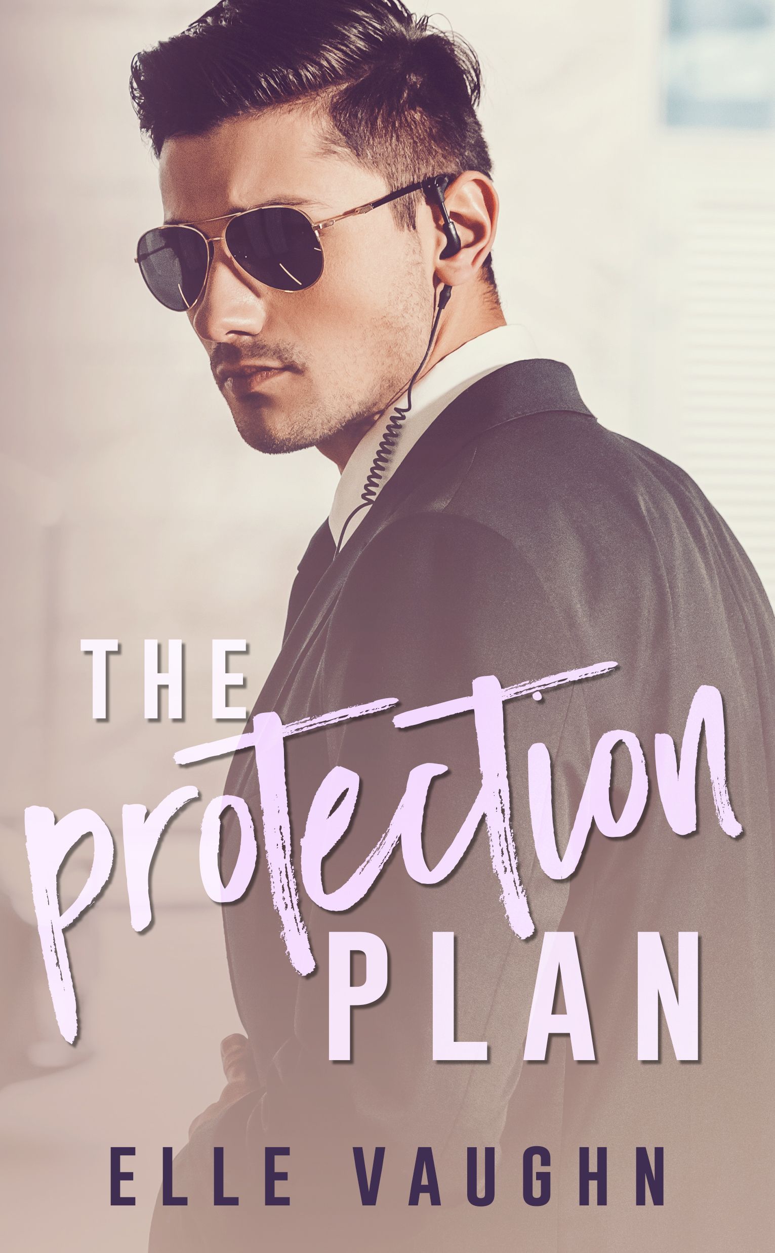 The Plan Series book cover 3