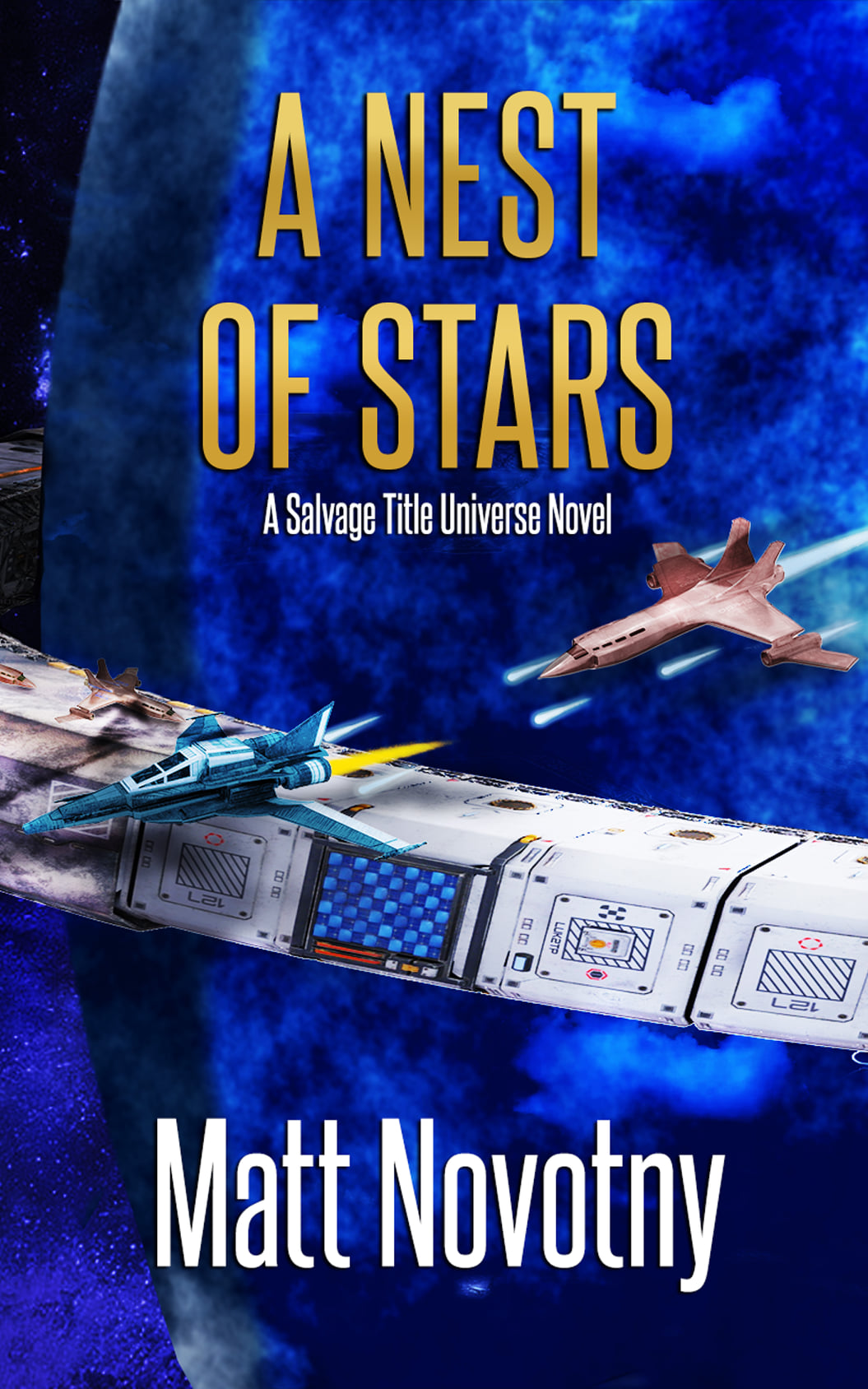 A Nest of Stars book cover