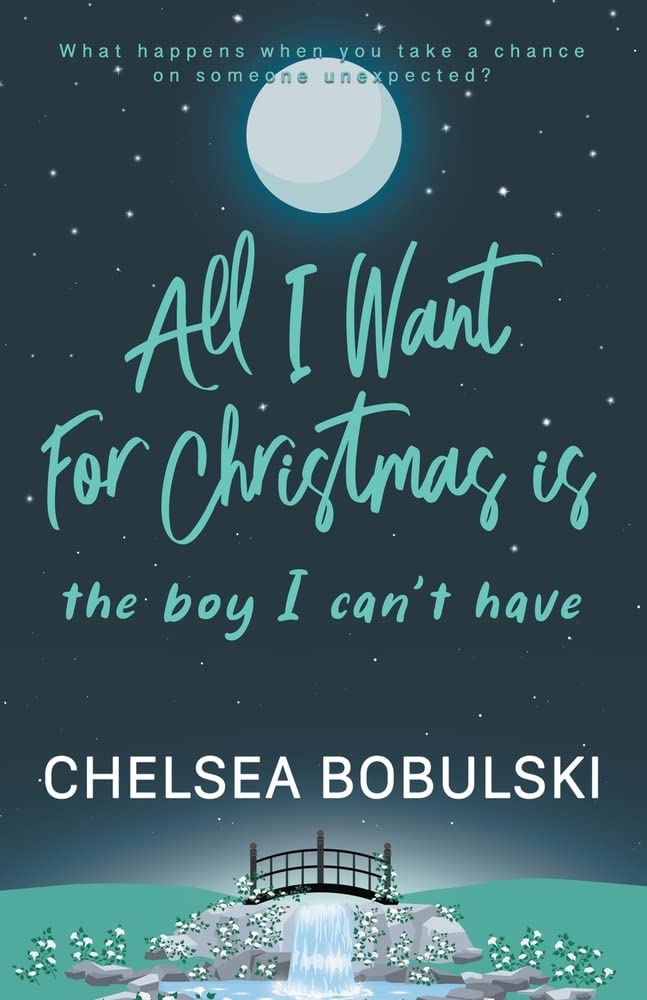 All I Want For Christmas is the Boy I Can't