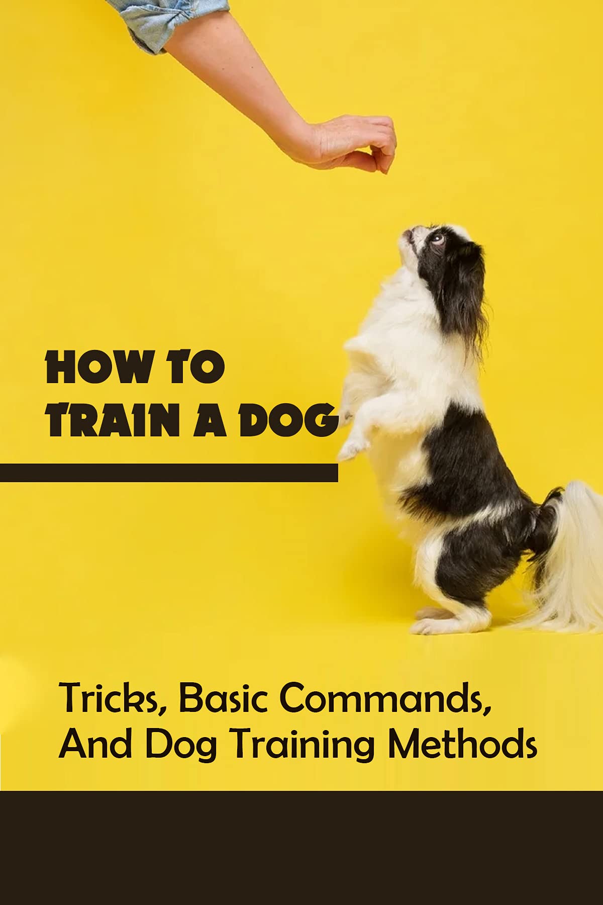 how-to-train-a-dog-tricks-basic-commands-and-dog-training-methods