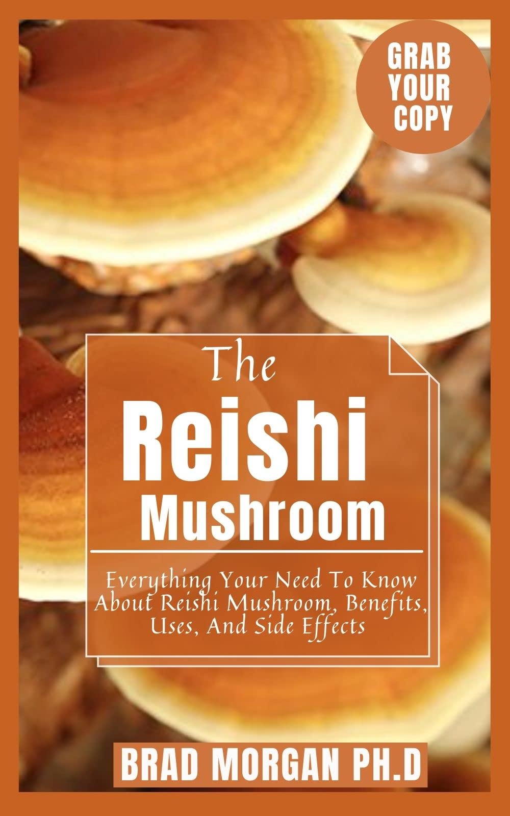 The Reishi Mushroom Everything You Need To Know About Reishi Mushroom