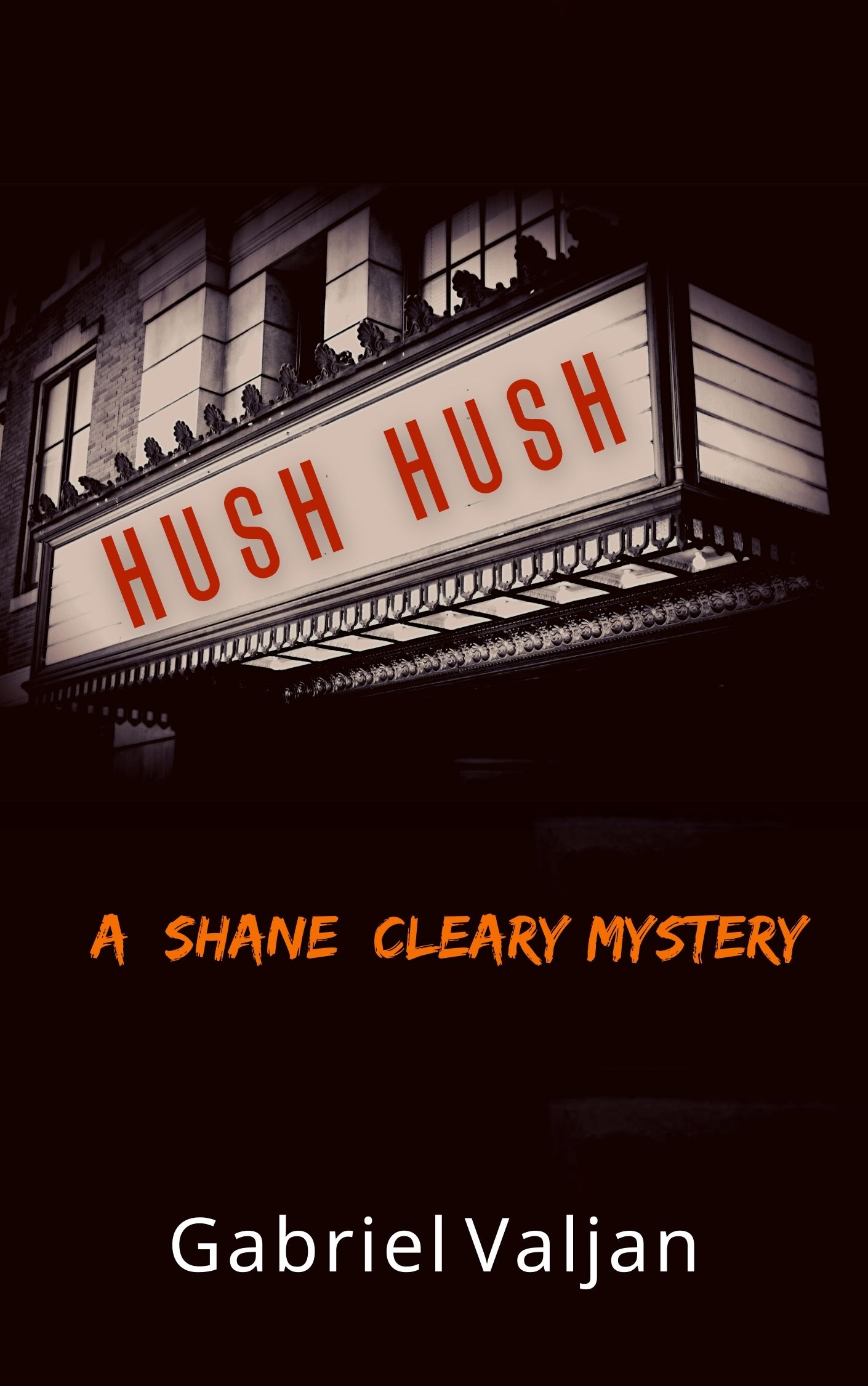 Hush Hush book cover