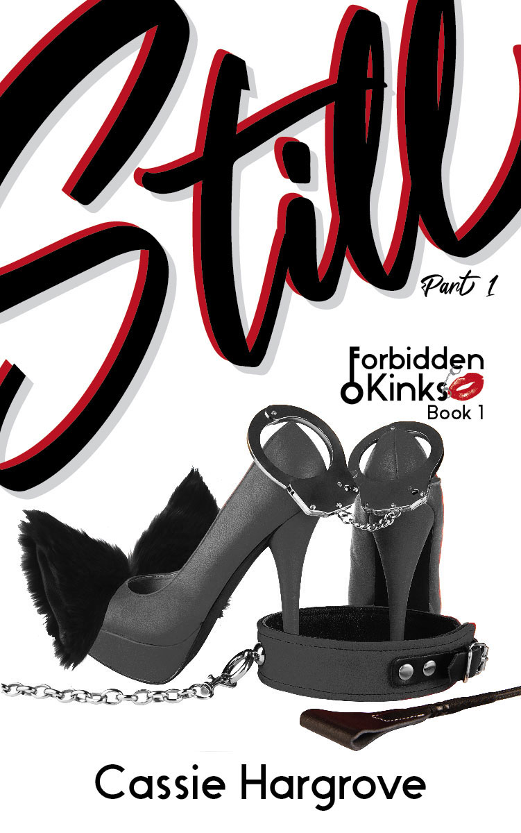 Forbidden Kinks book cover 1