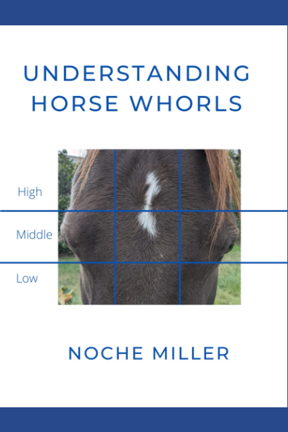 Understanding Horse Whorls by Noche Miller Goodreads