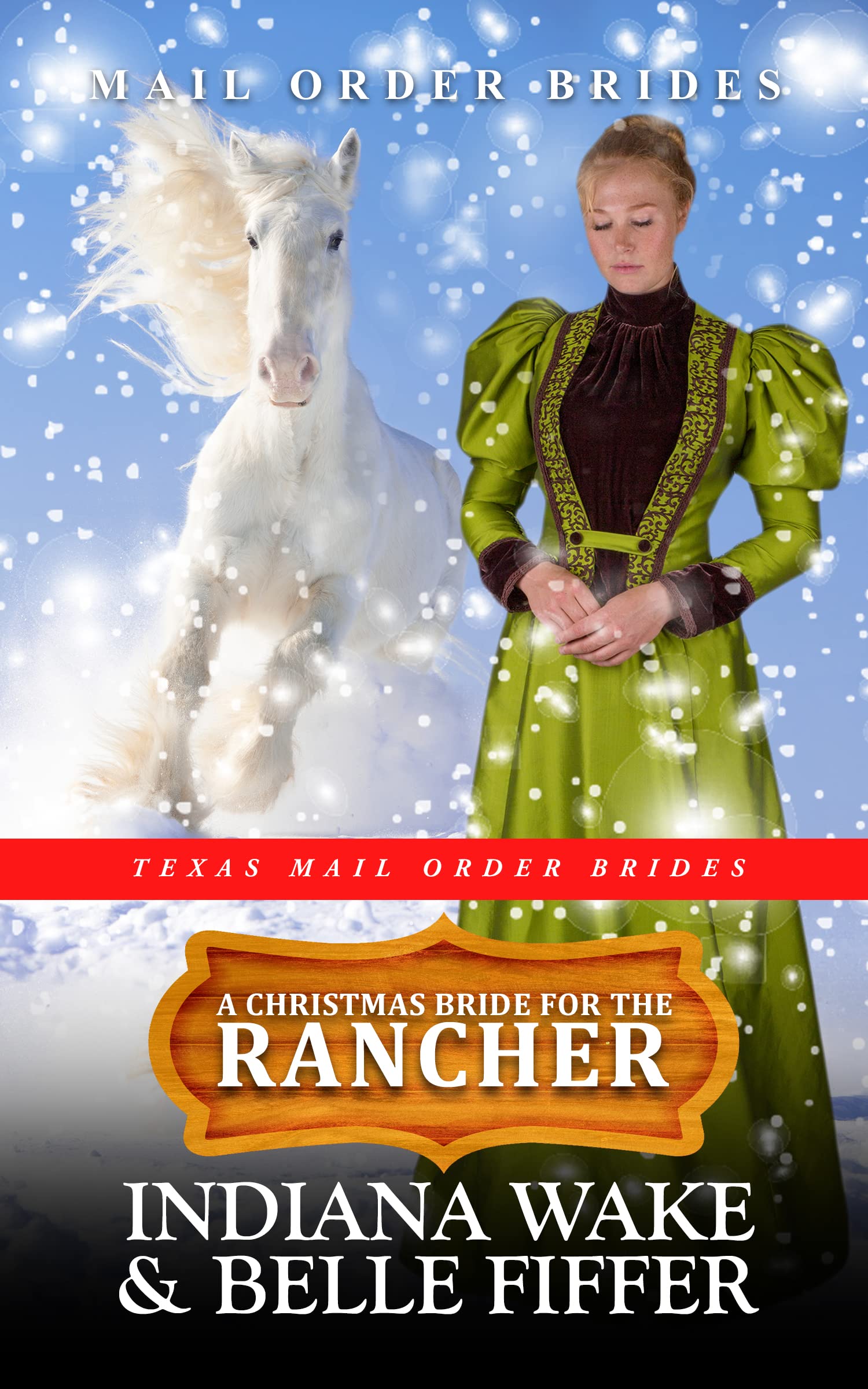 A Christmas Bride for the Rancher book cover