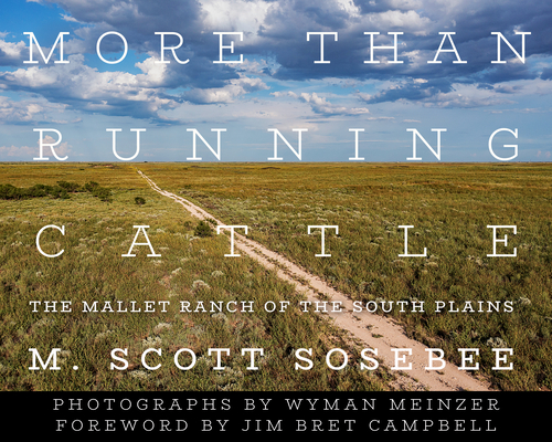 More Than Running Cattle book cover