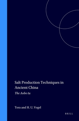 Salt Production Techniques in Ancient China book cover