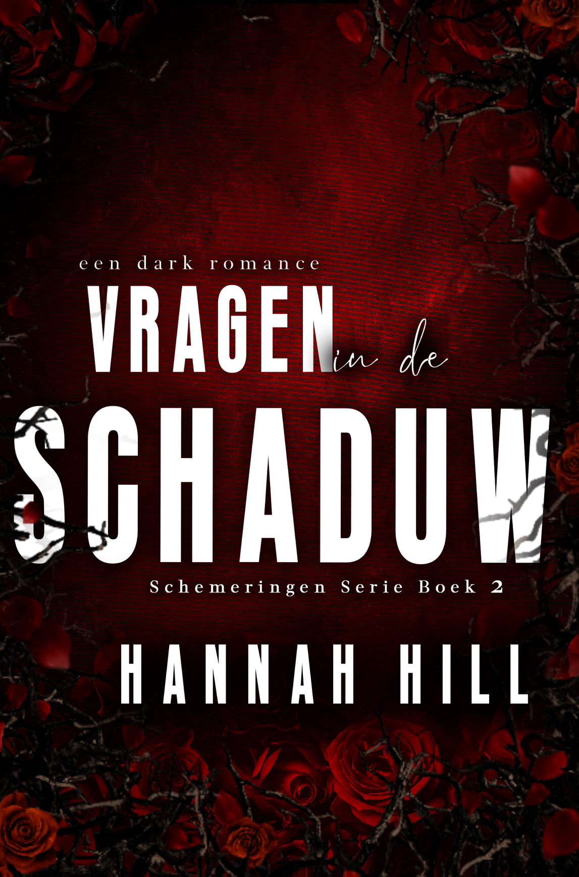 Vragen in de schaduw