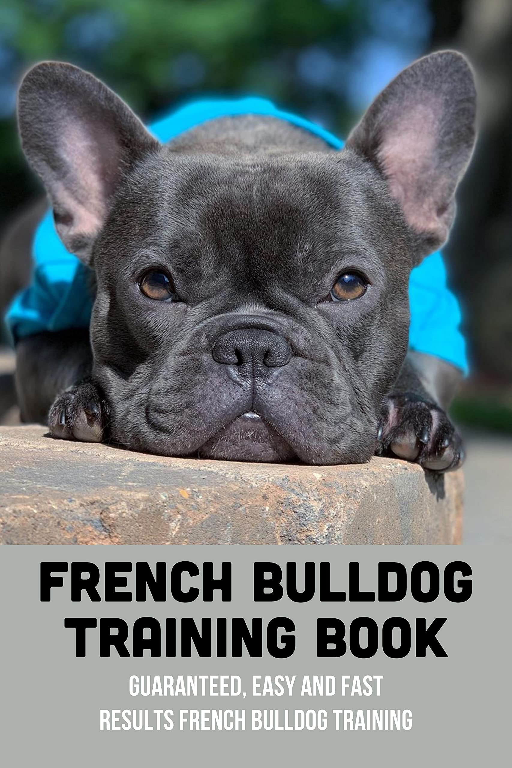 French Bulldog Training Book Guaranteed, Easy And Fast Results French