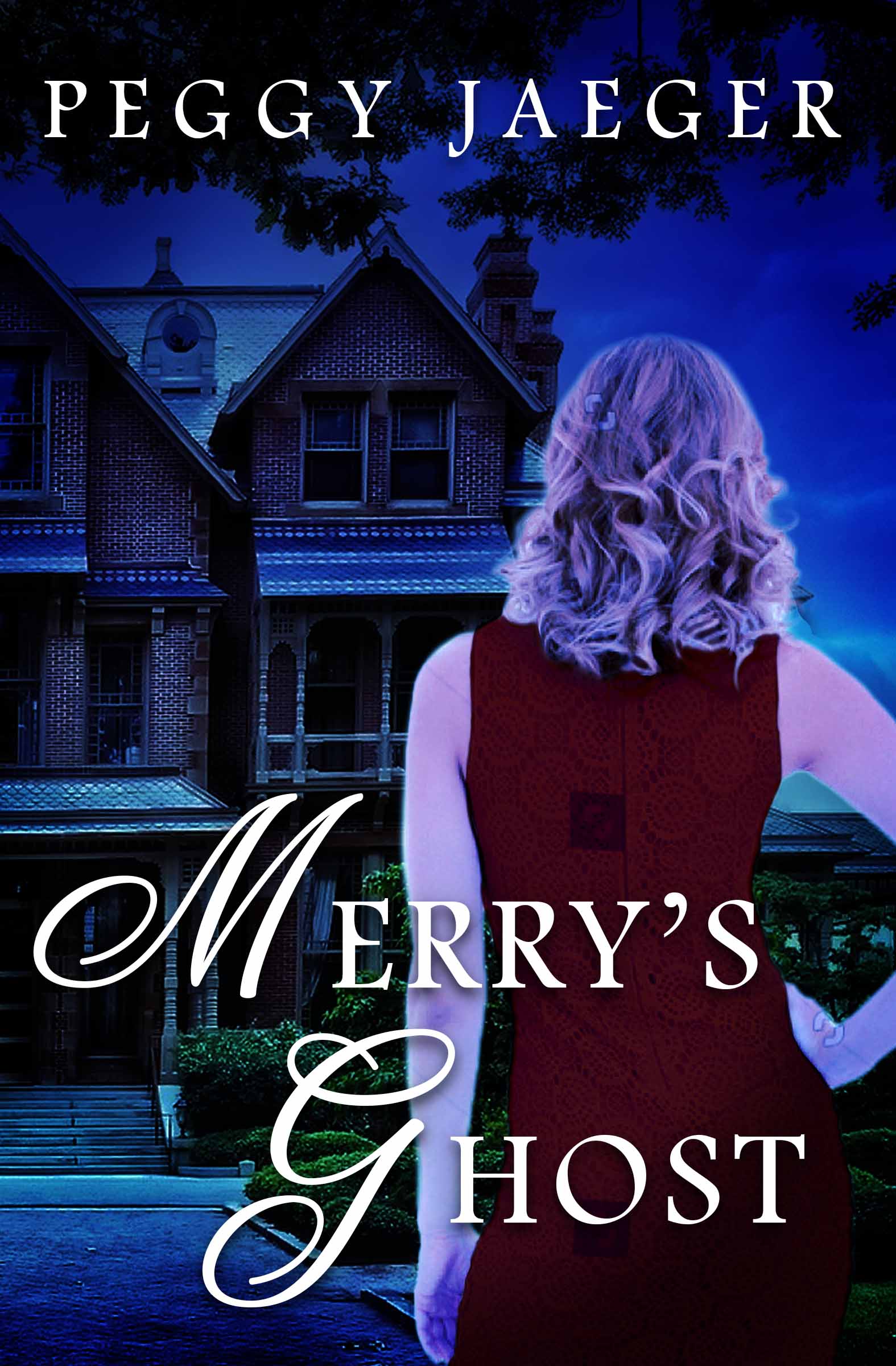 Merry's Ghost book cover