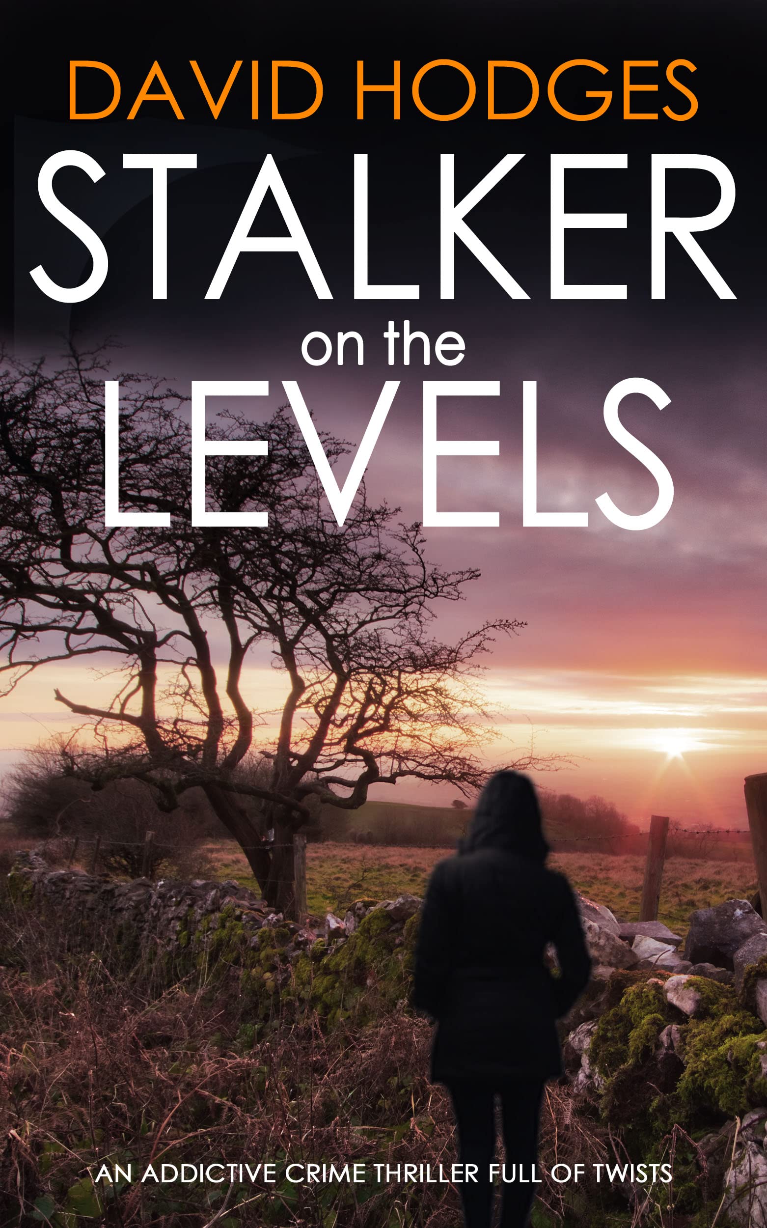 Stalker On The Levels