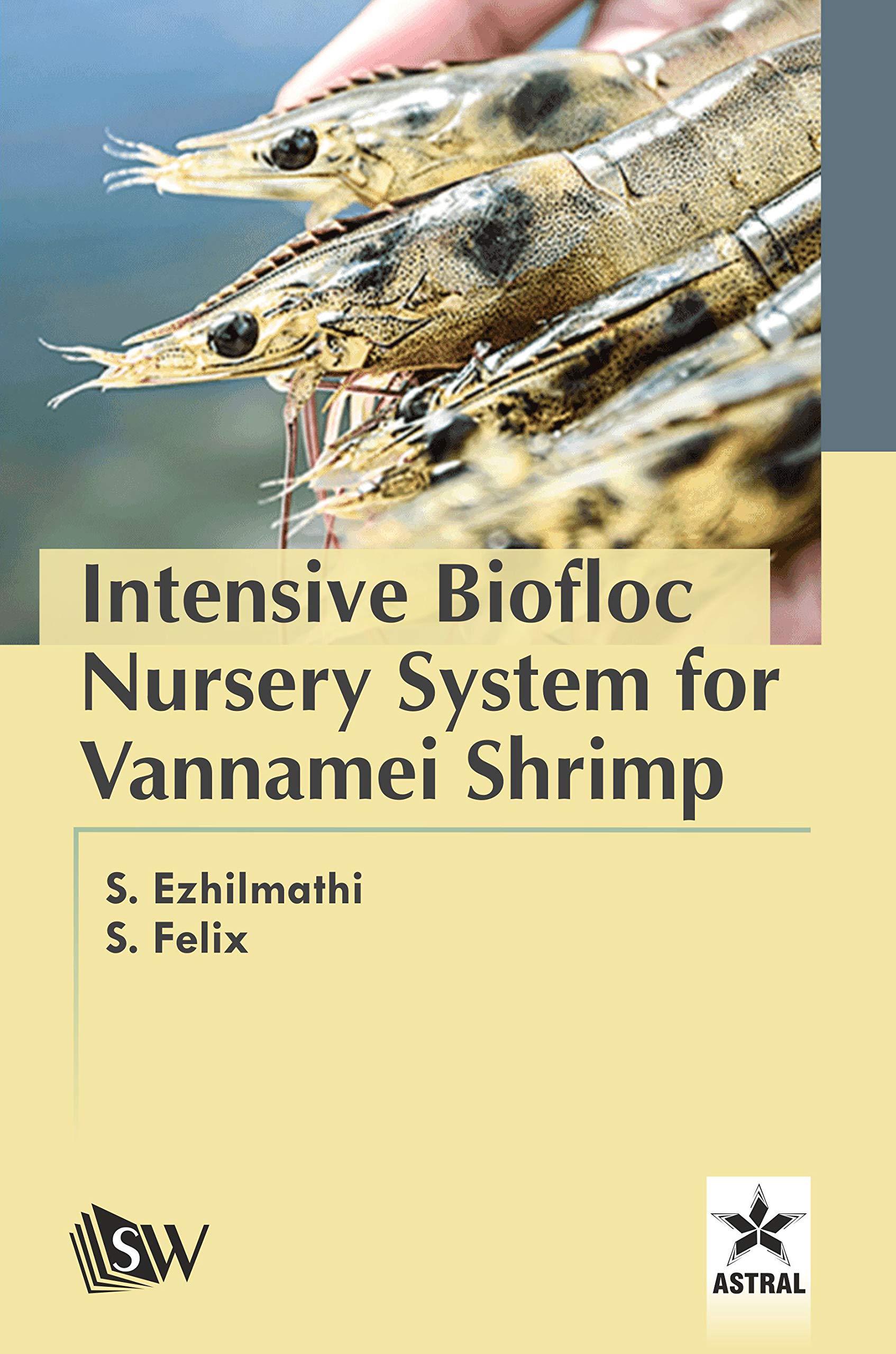 Intensive Biofloc Nursery System for Vannamei Shrimp by S & S Felix