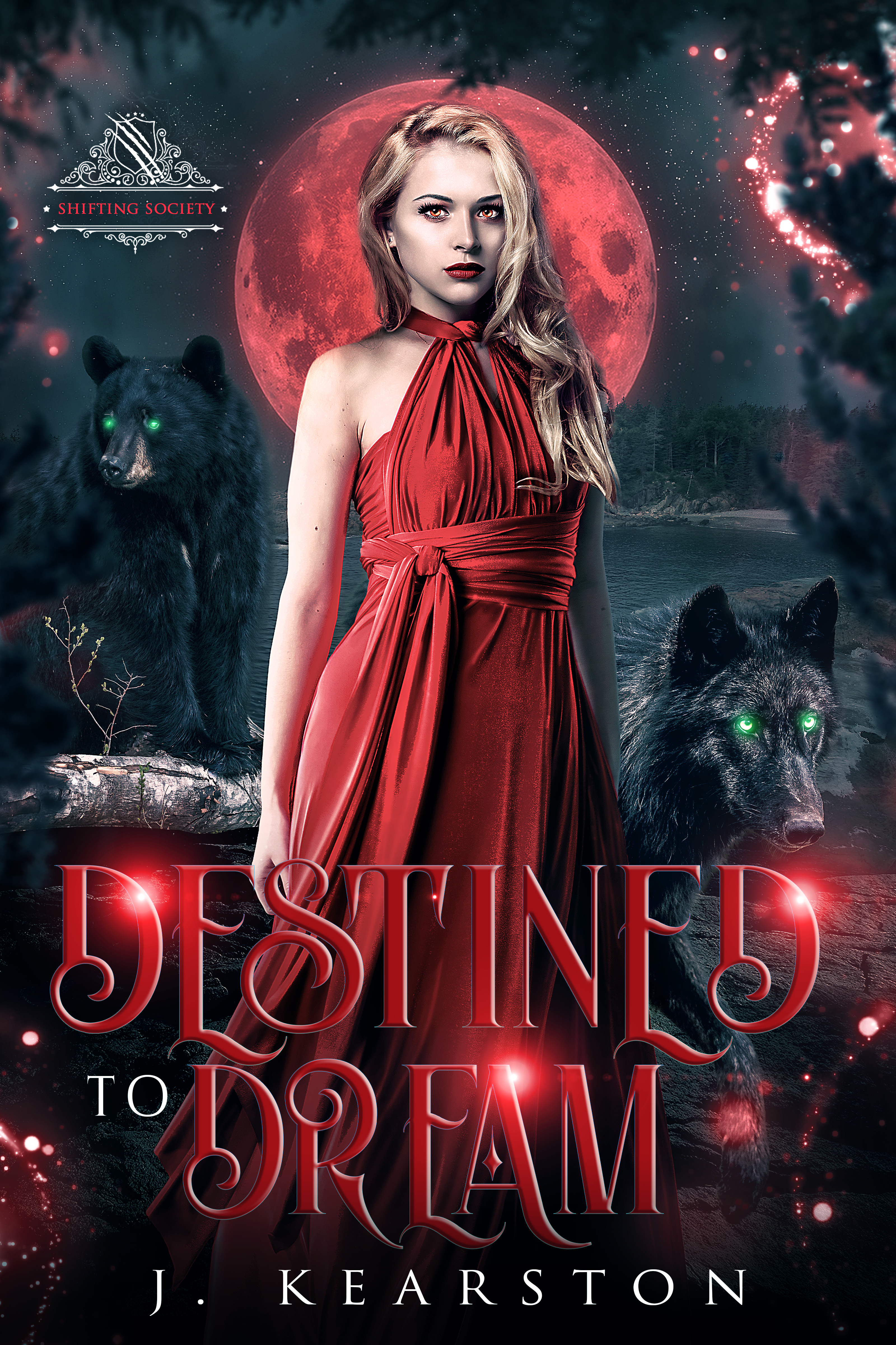 Destined to Dream book cover