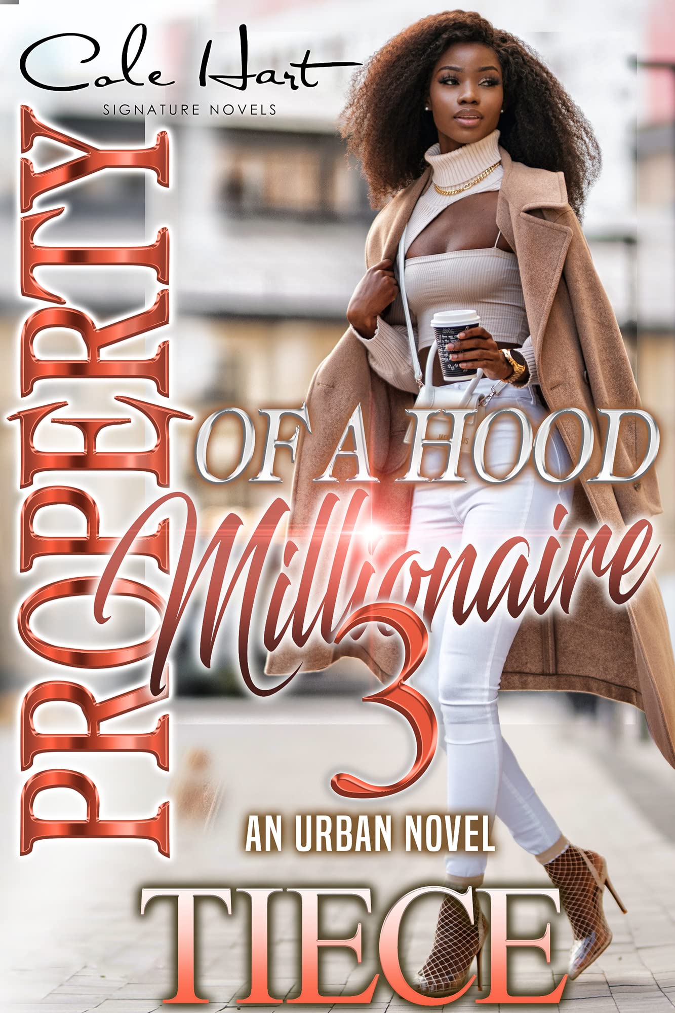 Property Of A Hood Millionaire 3 book cover