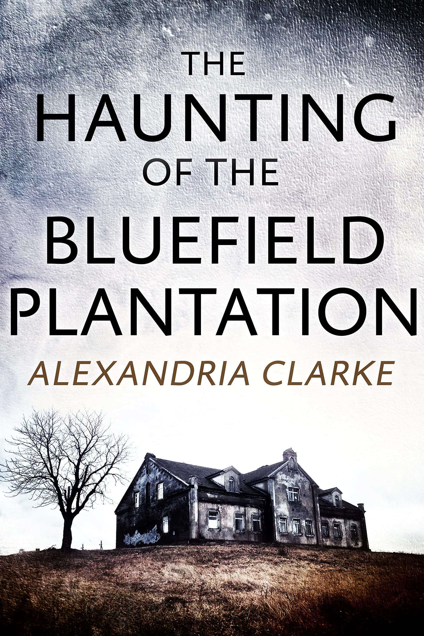 The Haunting of Bluefield Plantation book cover
