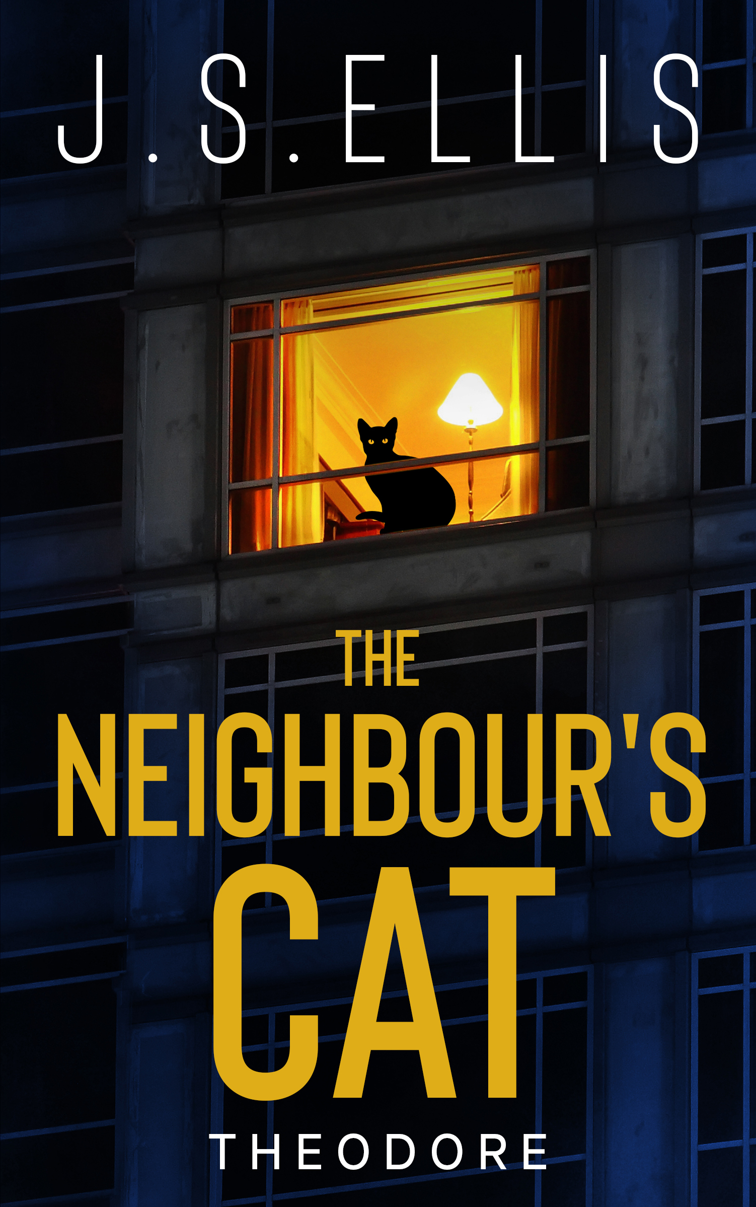 Theodore The Neighbour's Cat