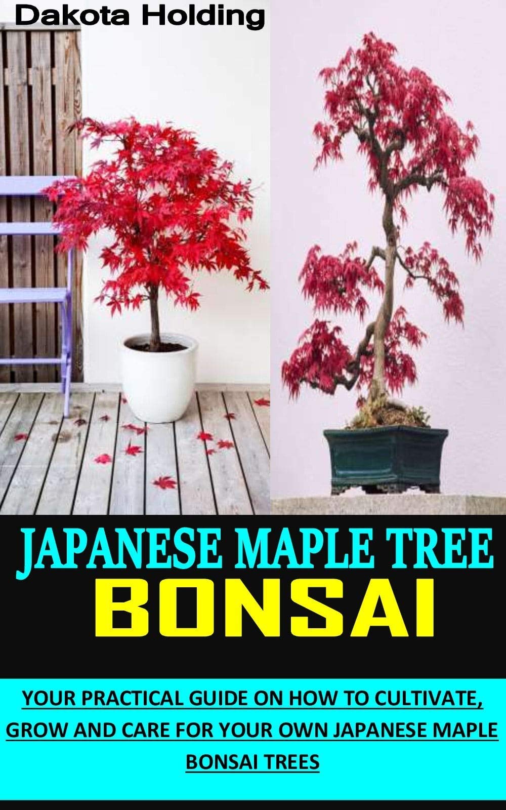 JAPANESE MAPLE TREE BONSAIC Your Practical Guide On How To Cultivate