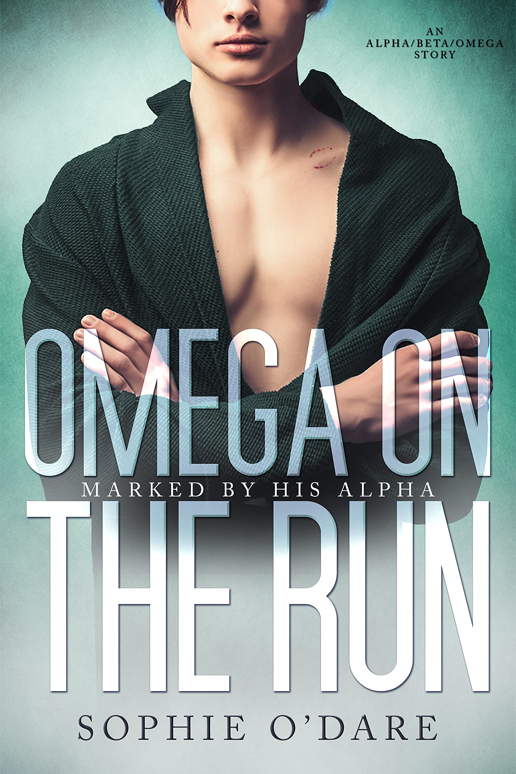 Omega on the Run book cover