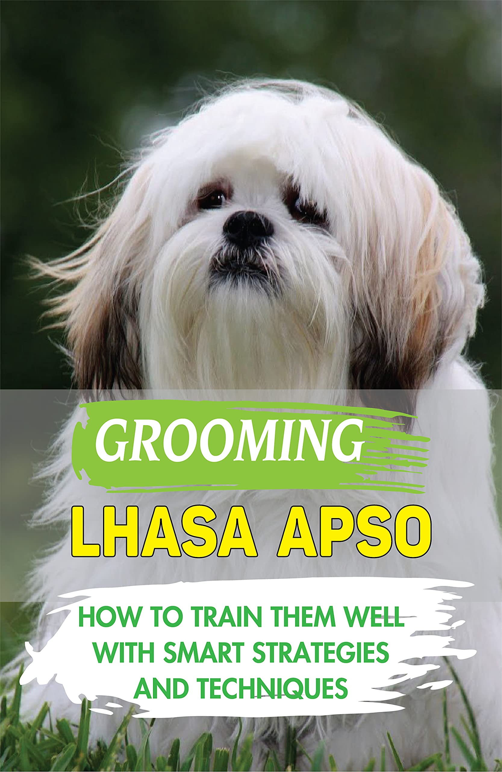 Grooming Lhasa Apso How To Train Them Well With Smart Strategies And