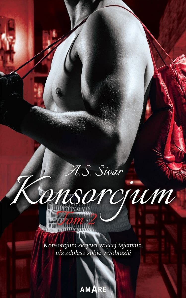 Konsorcjum book cover 2