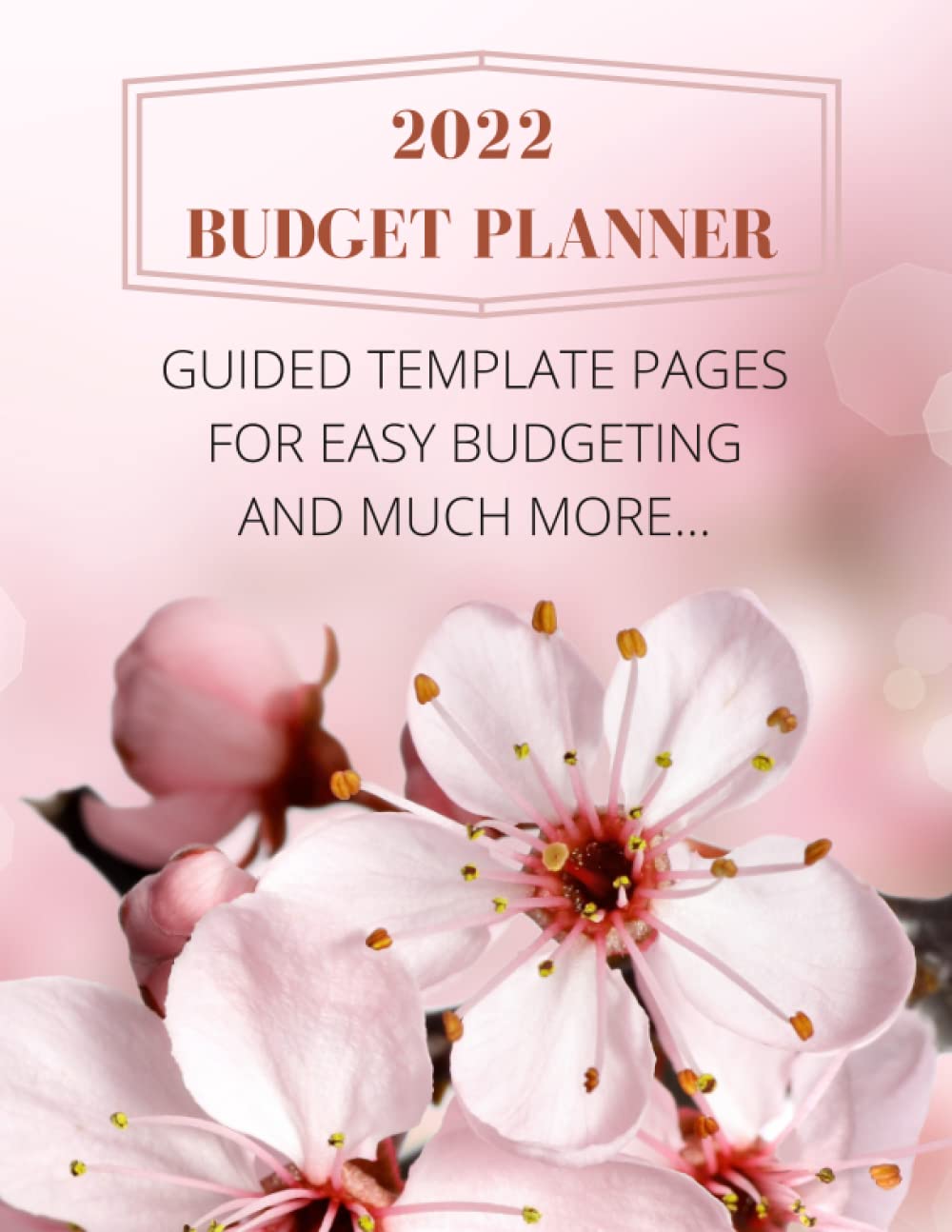 2022 BUDGET PLANNER: GUIDED TEMPLATE PAGES FOR EASY BUDGETING AND MUCH