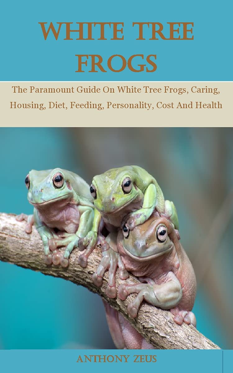 White Tree Frog The Paramount Guide On White Tree Frogs, Caring